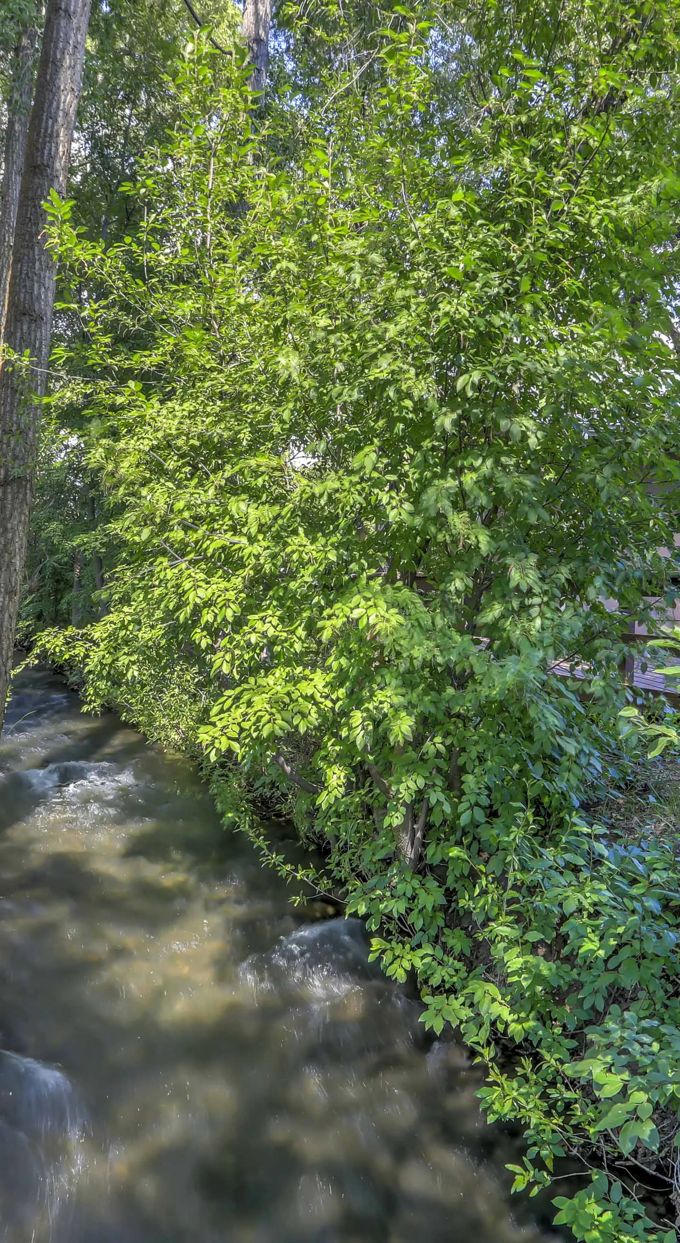 Peaceful Mancos Hideaway: Only 1 Mi to Downtown!
