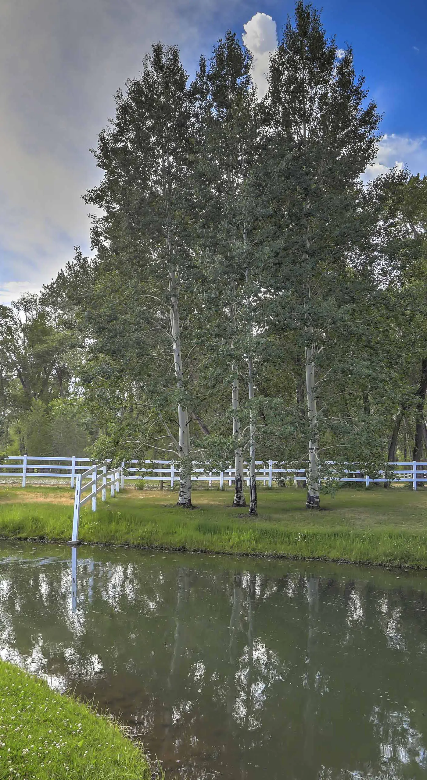 Peaceful Mancos Hideaway: Only 1 Mi to Downtown!