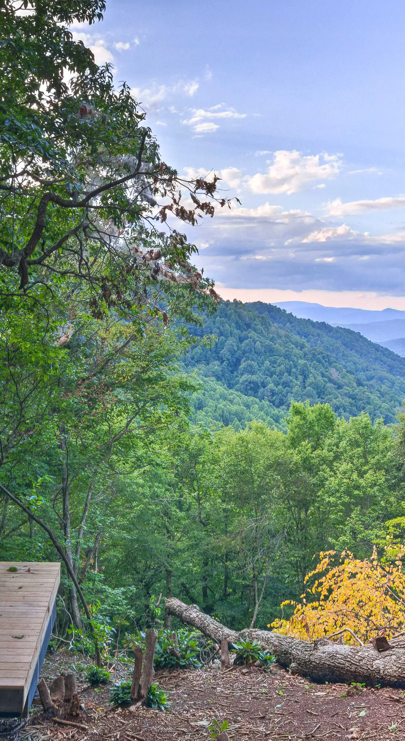 8 Acres + Hiking Trails: Little Switzerland Escape