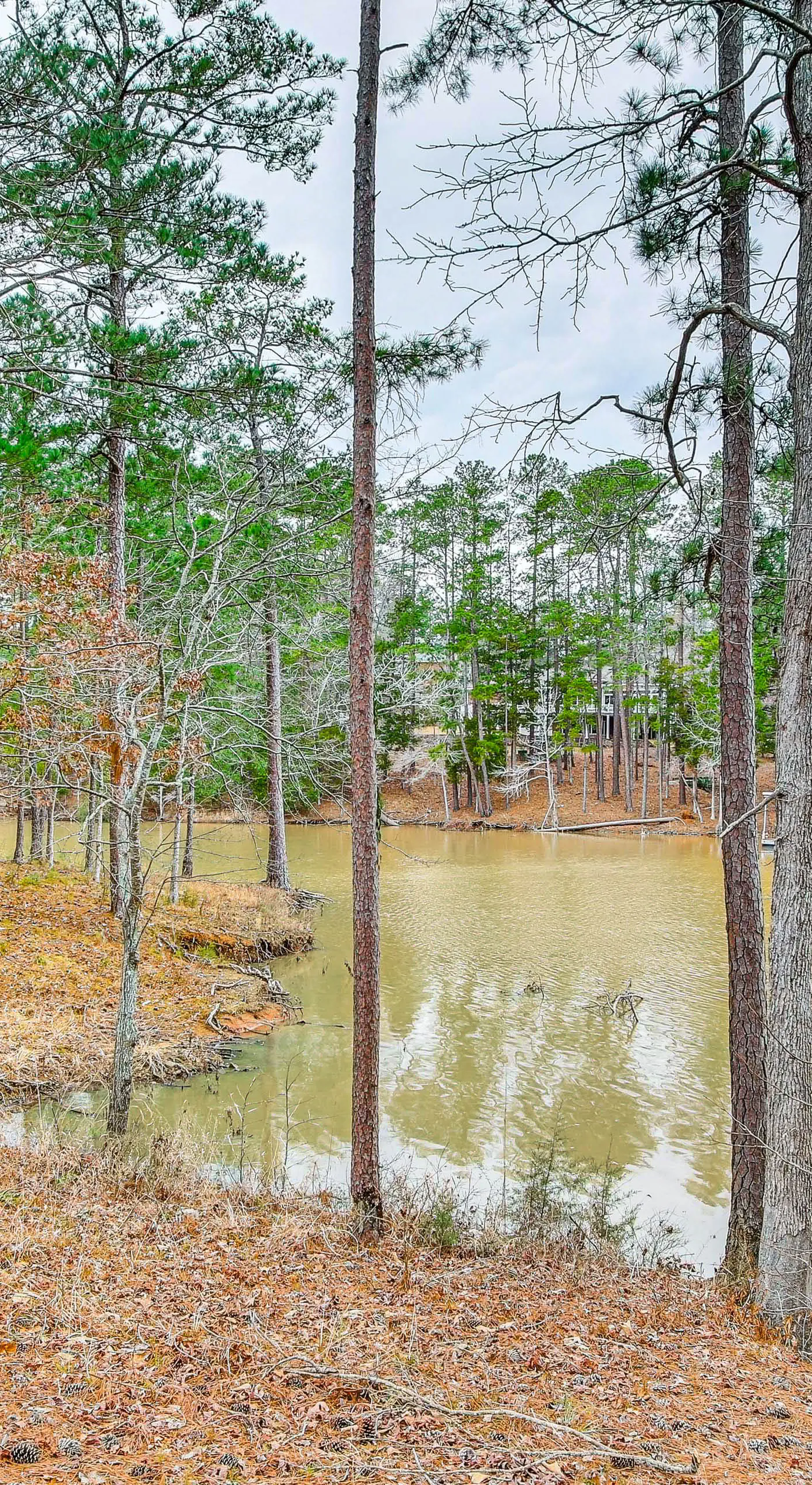 Scenic Water Views: Lakefront Home in McCormick!