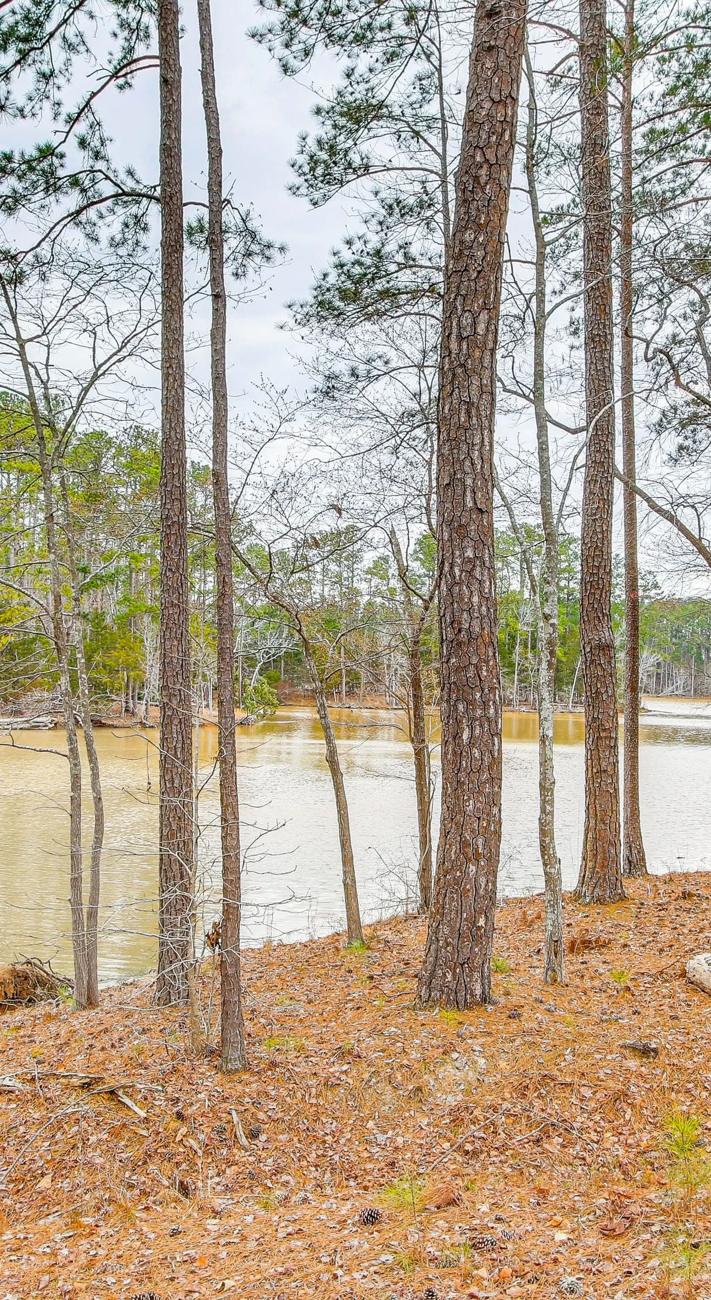 Scenic Water Views: Lakefront Home in McCormick!
