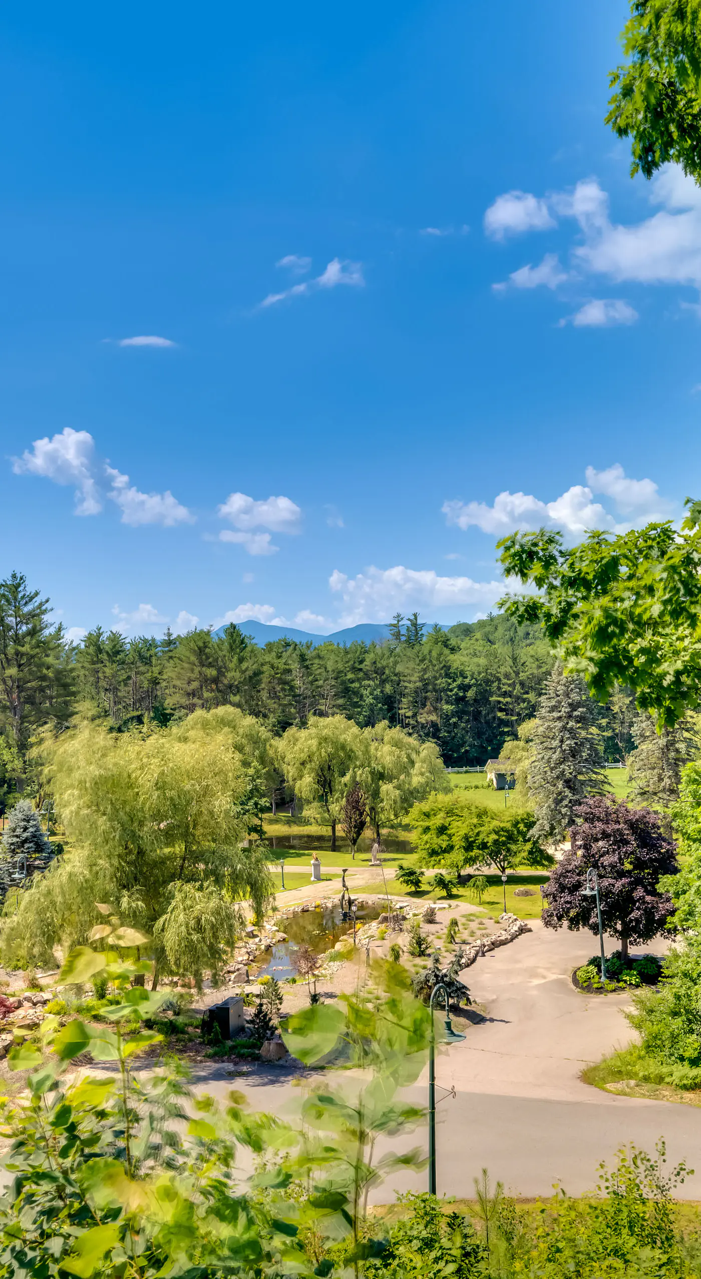 Mountain Views: Beautiful Nestlenook Farm Home!