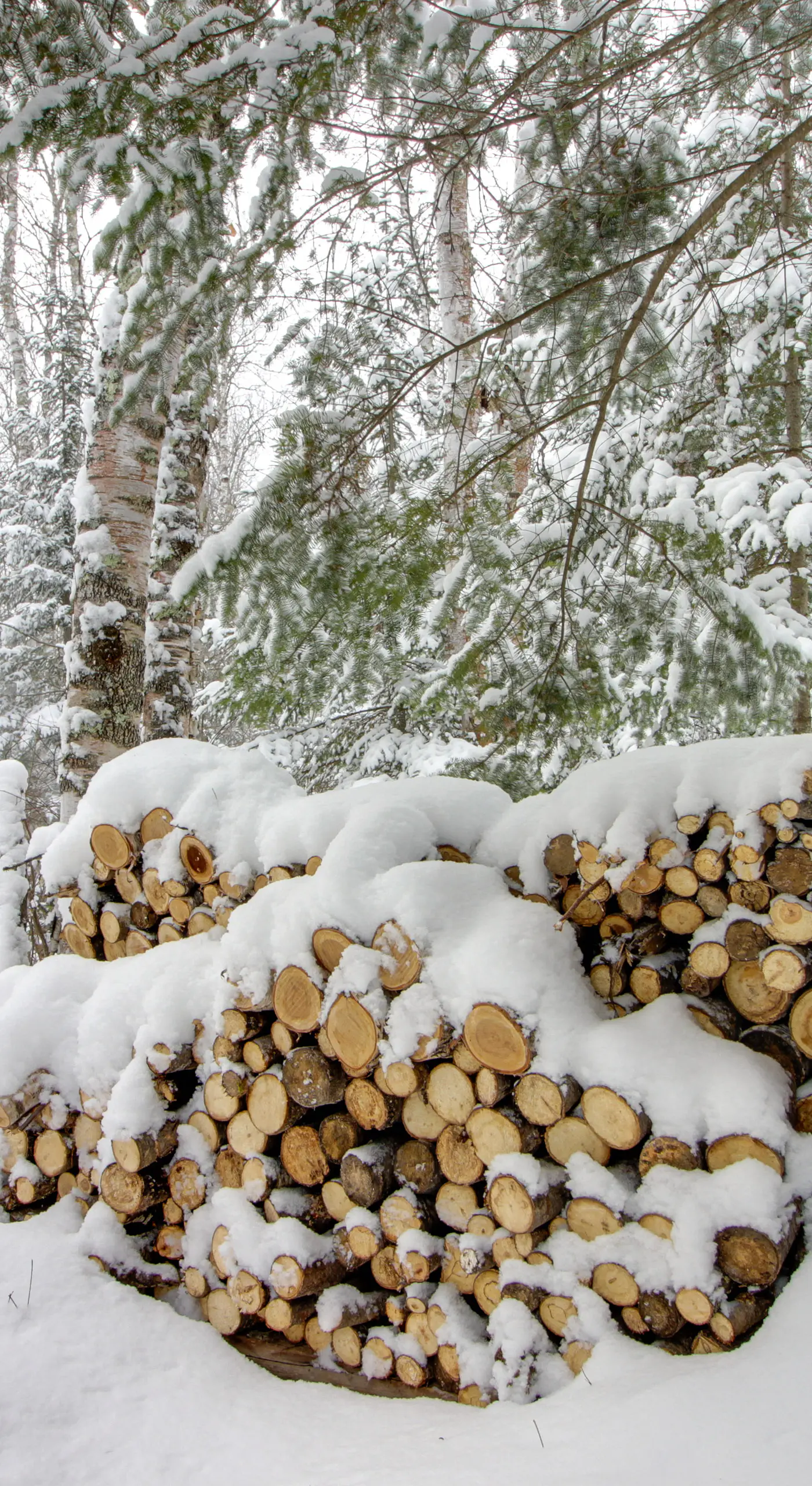 On-Site Ice Fishing: Nashwauk Vacation Rental!