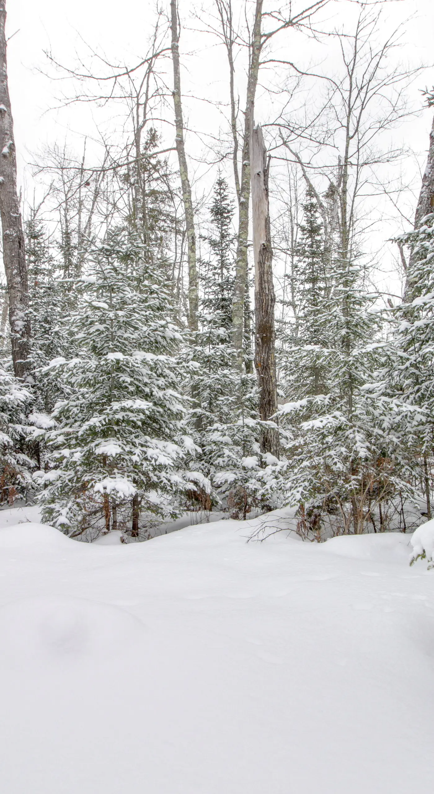 On-Site Ice Fishing: Nashwauk Vacation Rental!