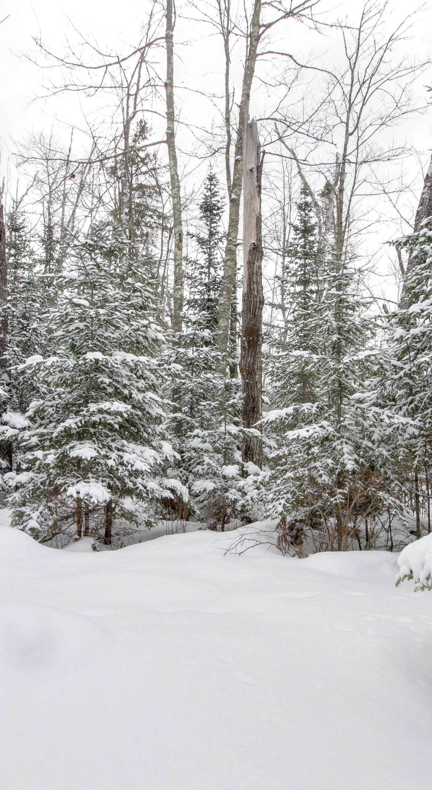 On-Site Ice Fishing: Nashwauk Vacation Rental!