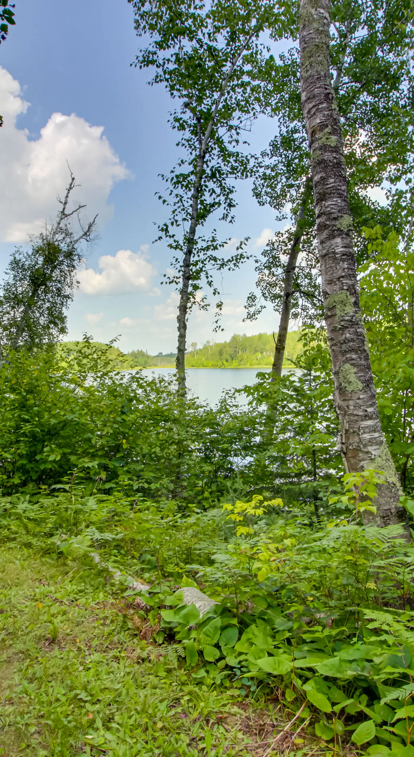 On-Site Ice Fishing: Nashwauk Vacation Rental!