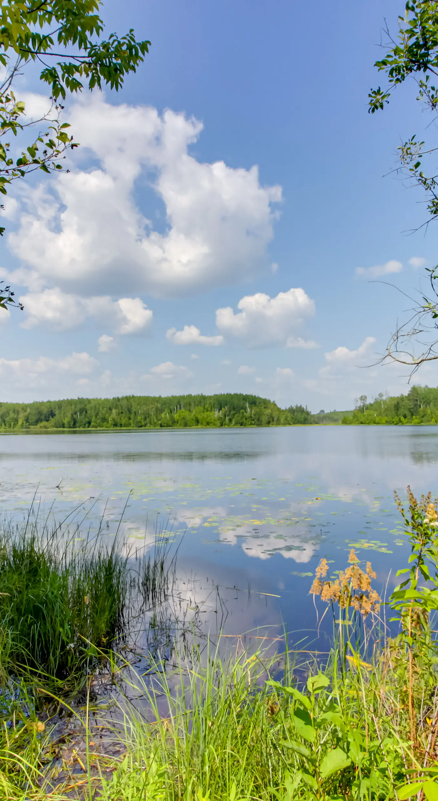On-Site Ice Fishing: Nashwauk Vacation Rental!