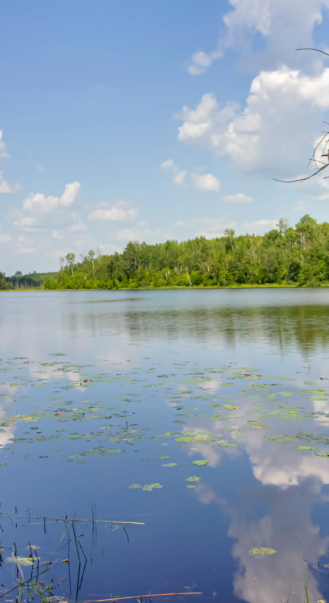 On-Site Ice Fishing: Nashwauk Vacation Rental!