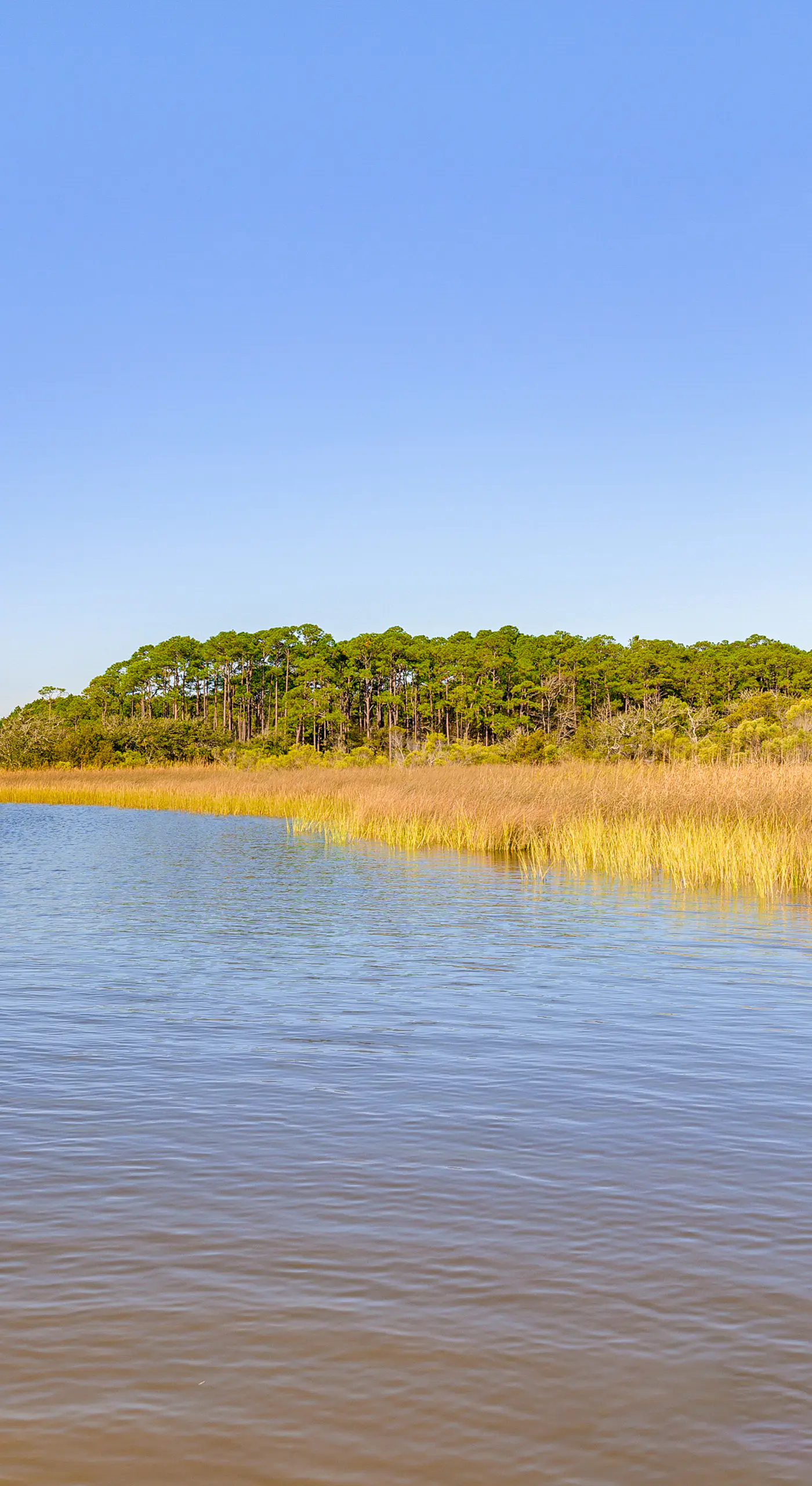 Waterfront Gulf Coast Home w/ Outdoor Oasis!