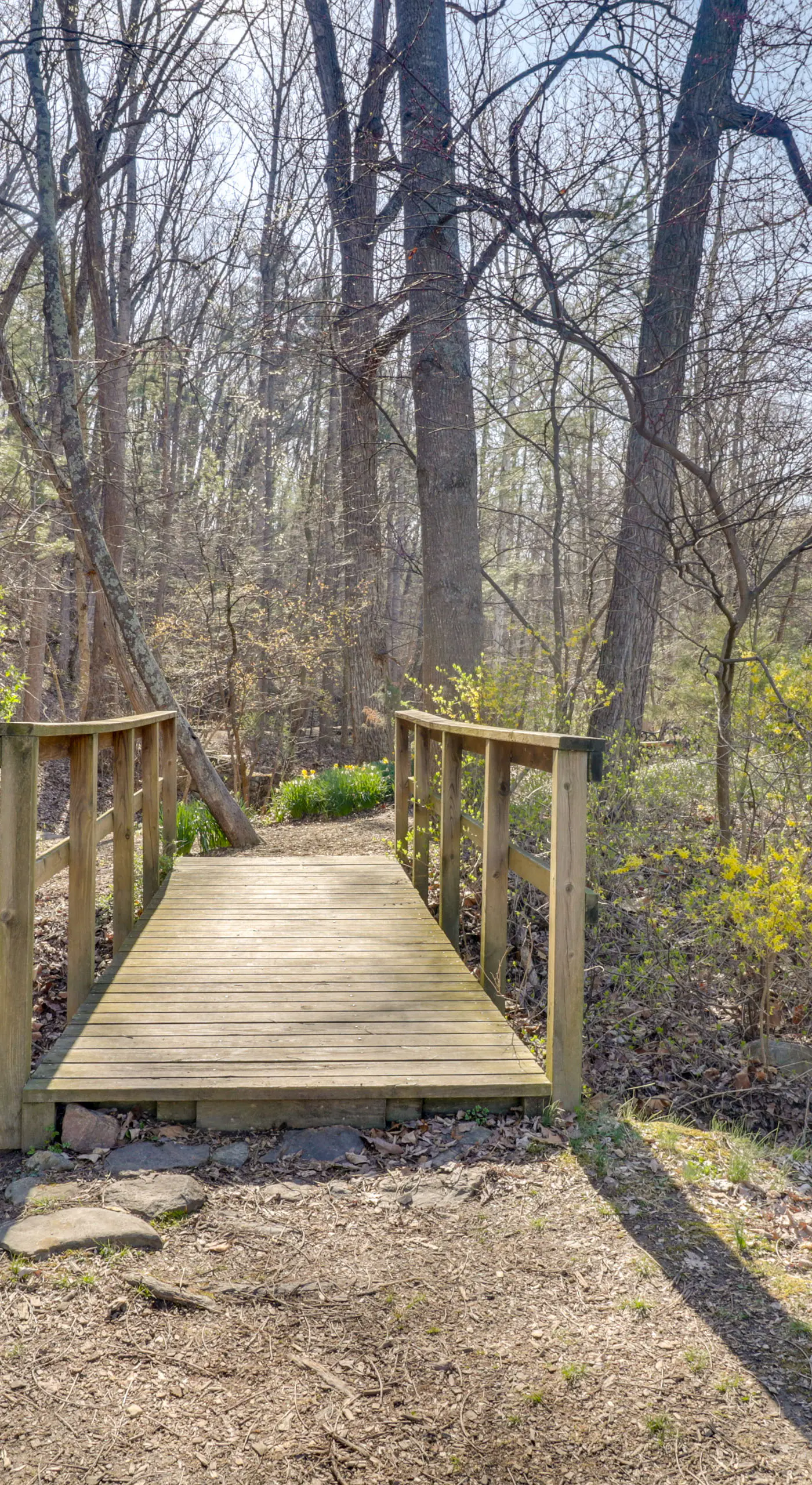 McGaheysville Vacation Rental: Yard & Fire Pit!