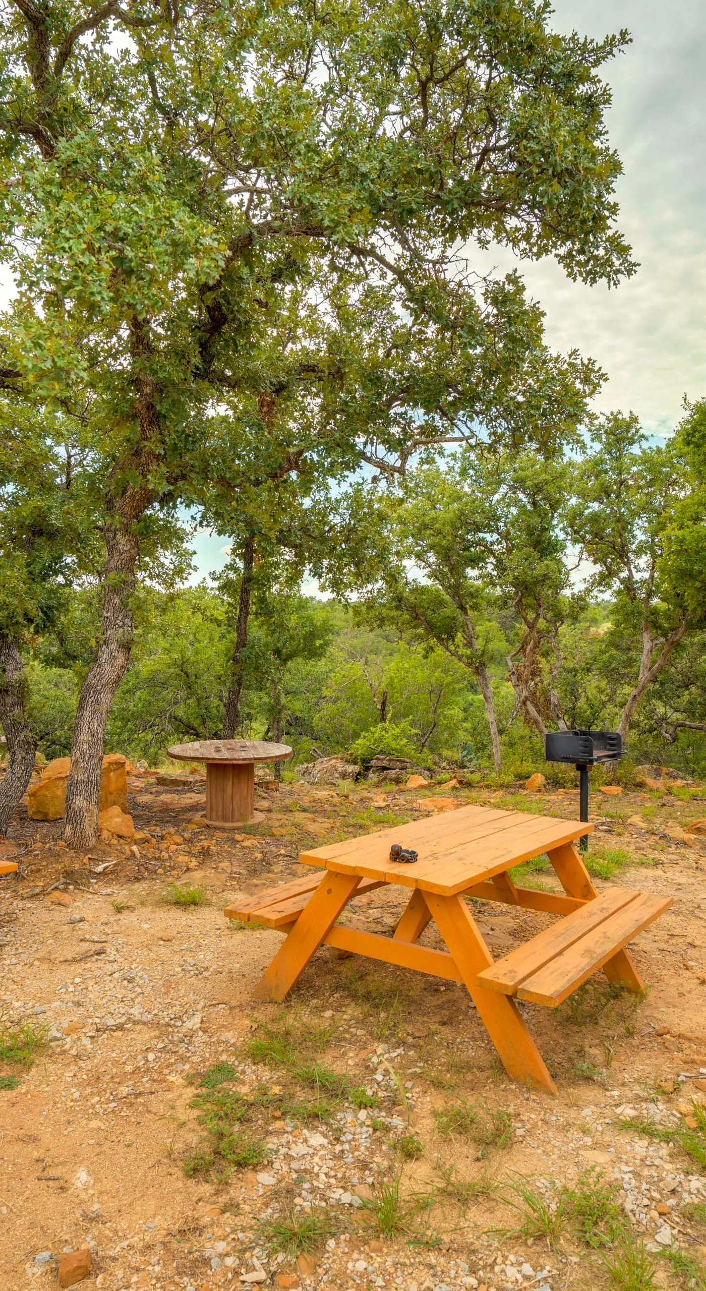 'Galactikitty' - Quirky Cabin Near Lake Brownwood!