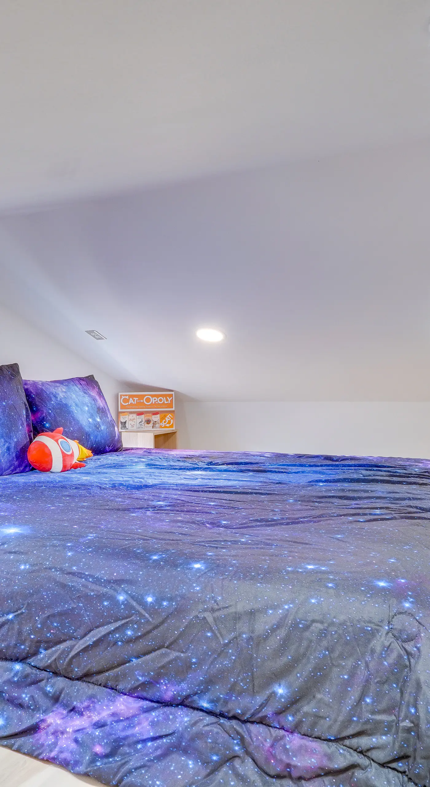 'Galactikitty' - Quirky Cabin Near Lake Brownwood!