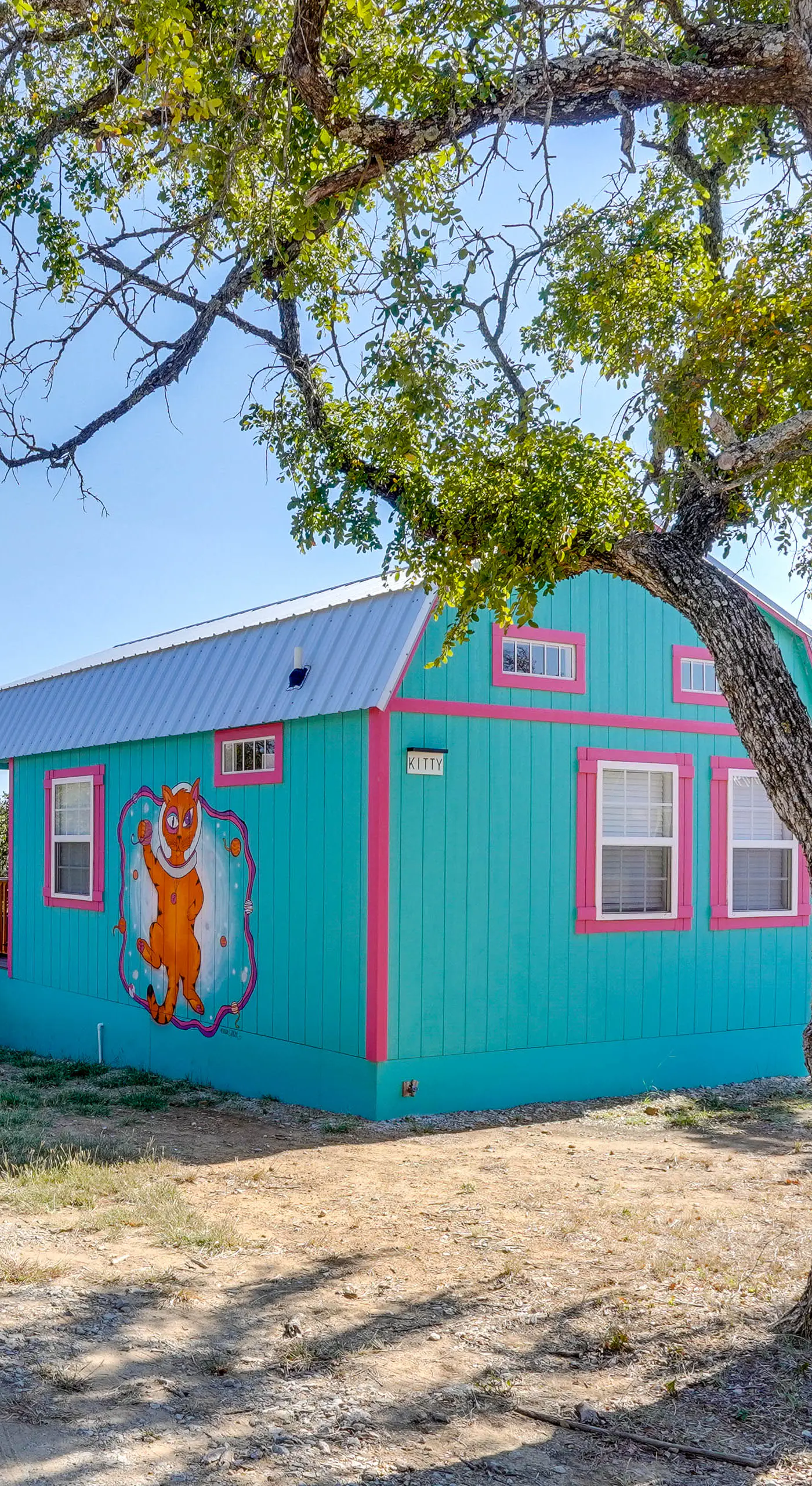 'Galactikitty' - Quirky Cabin Near Lake Brownwood!