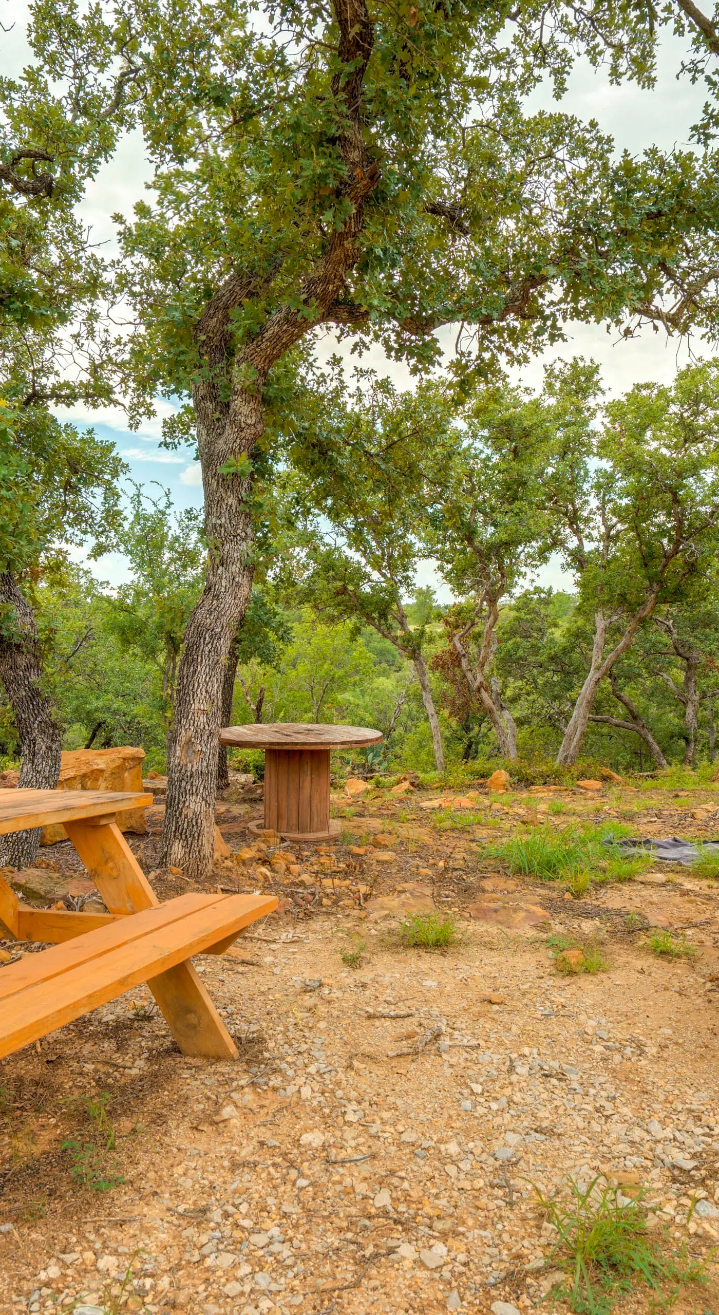 'Galactikitty' - Quirky Cabin Near Lake Brownwood!