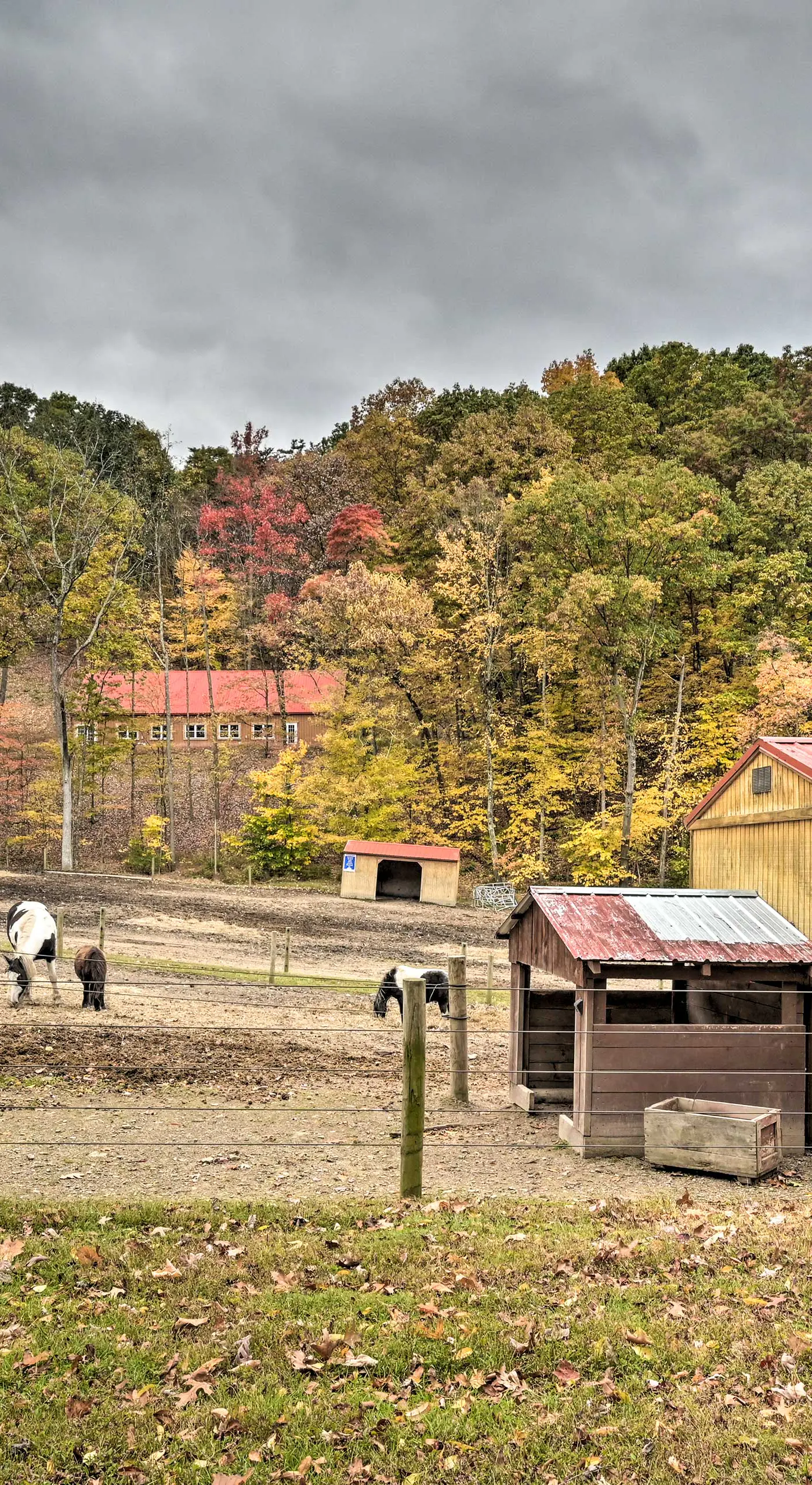 ‘John Wayne' Apartment - Deck, BBQ, Horses On-Site