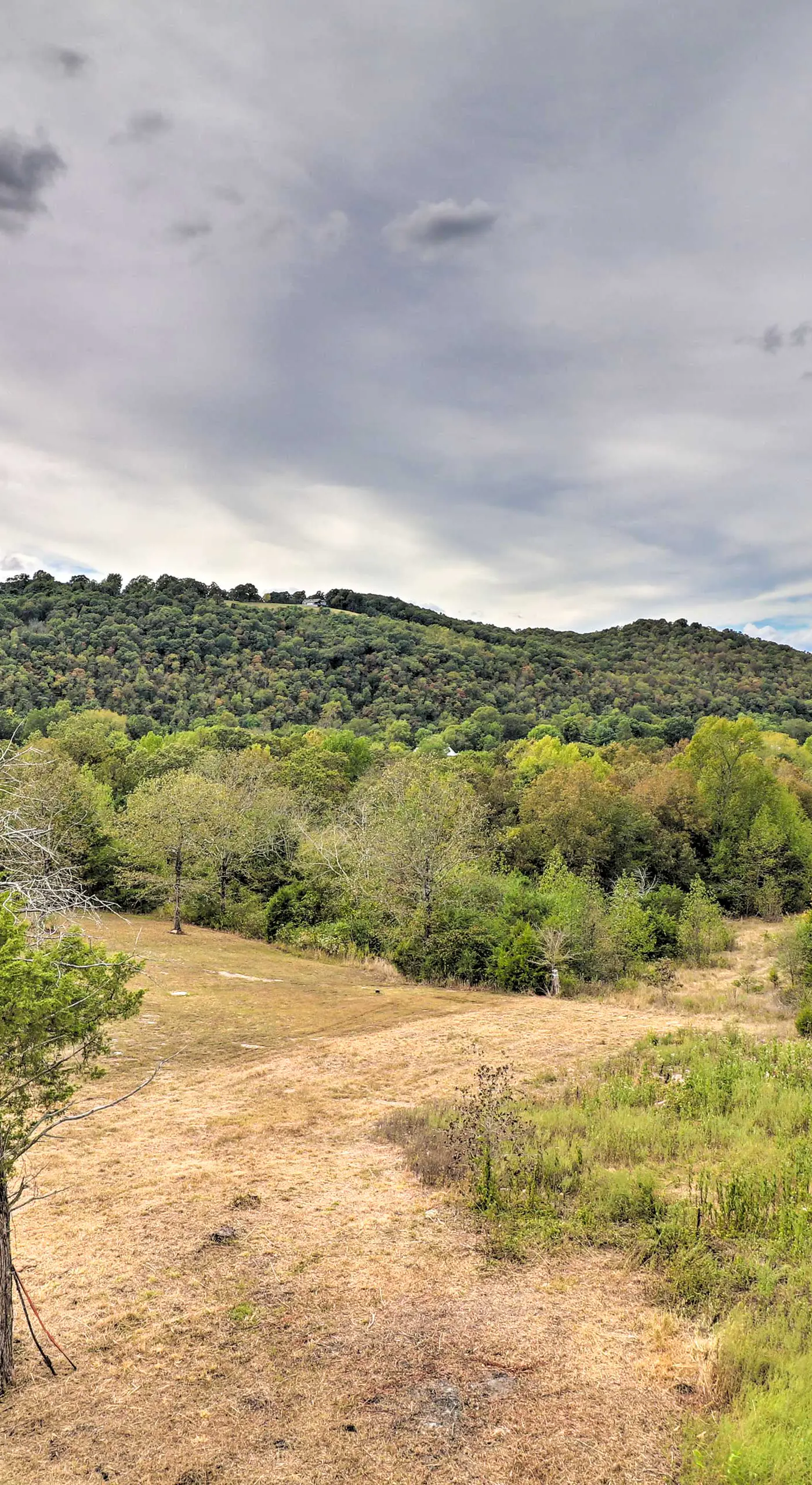 Mountain View Escape - 1 Mile to White River!