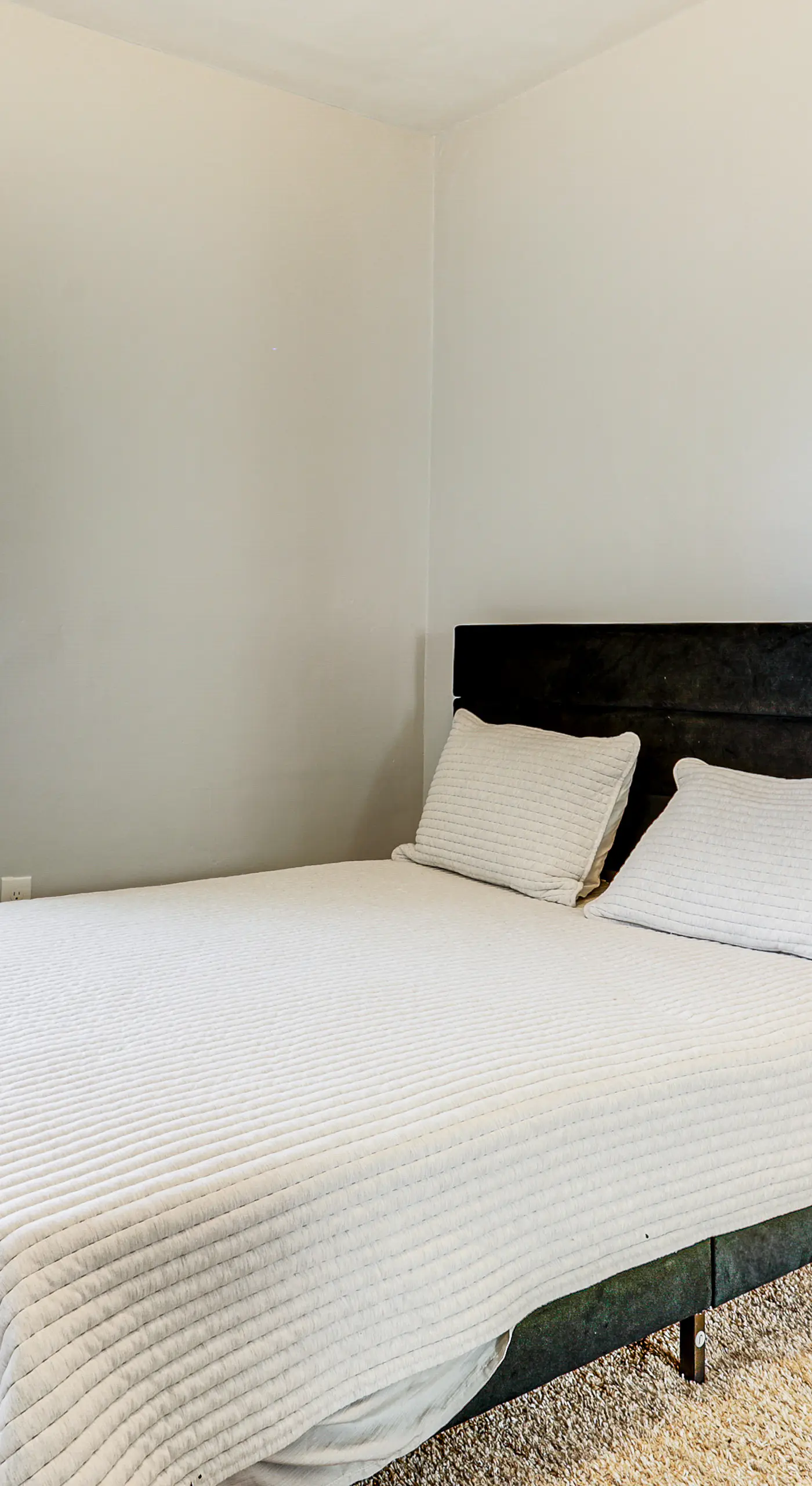 5 Mi to Brown U: Pet-Friendly Apt, Walk to Dining!