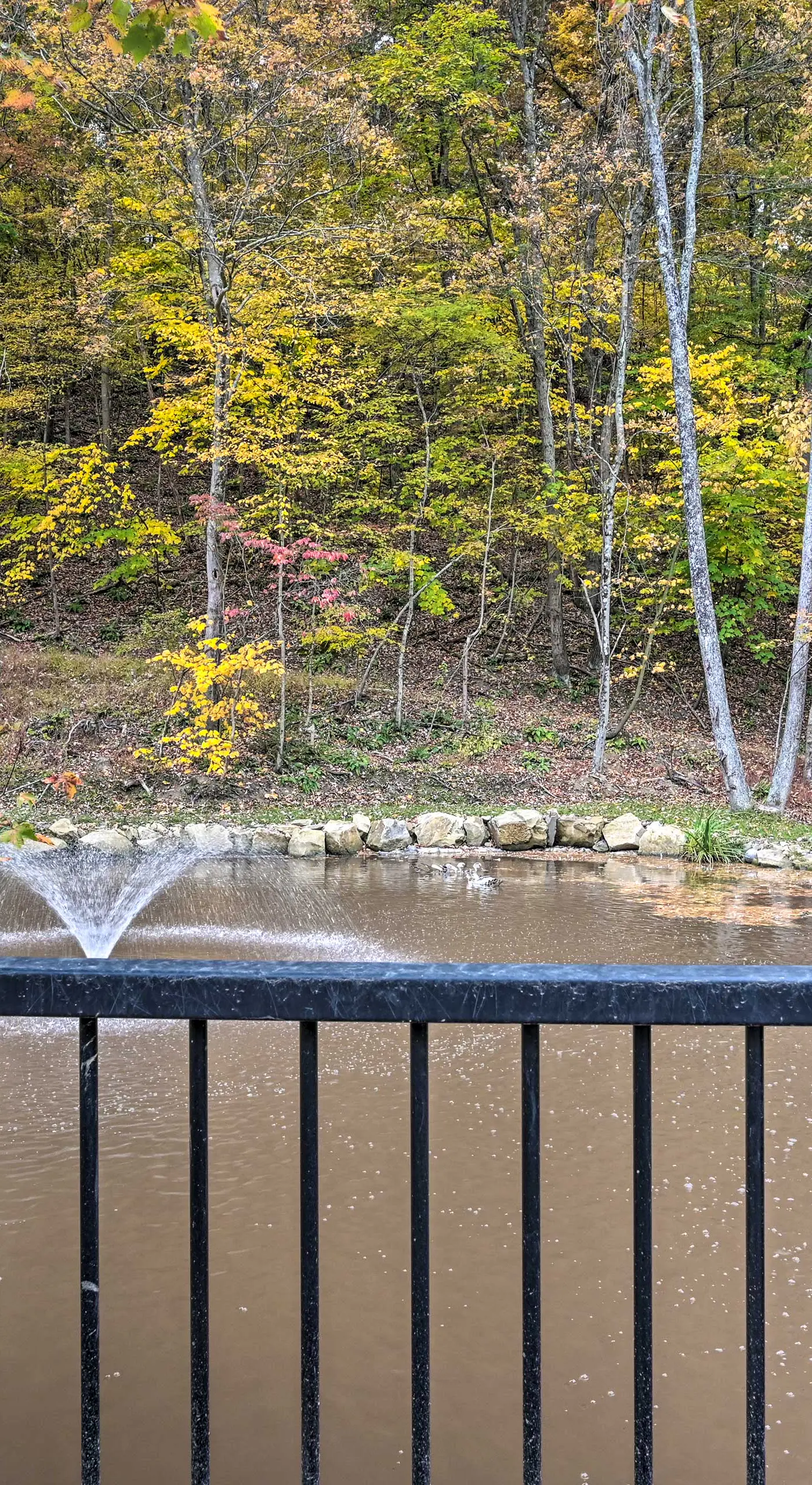 1 Mi to Raystown Lake: 'Wyatt Earp Cabin' w/ Deck!