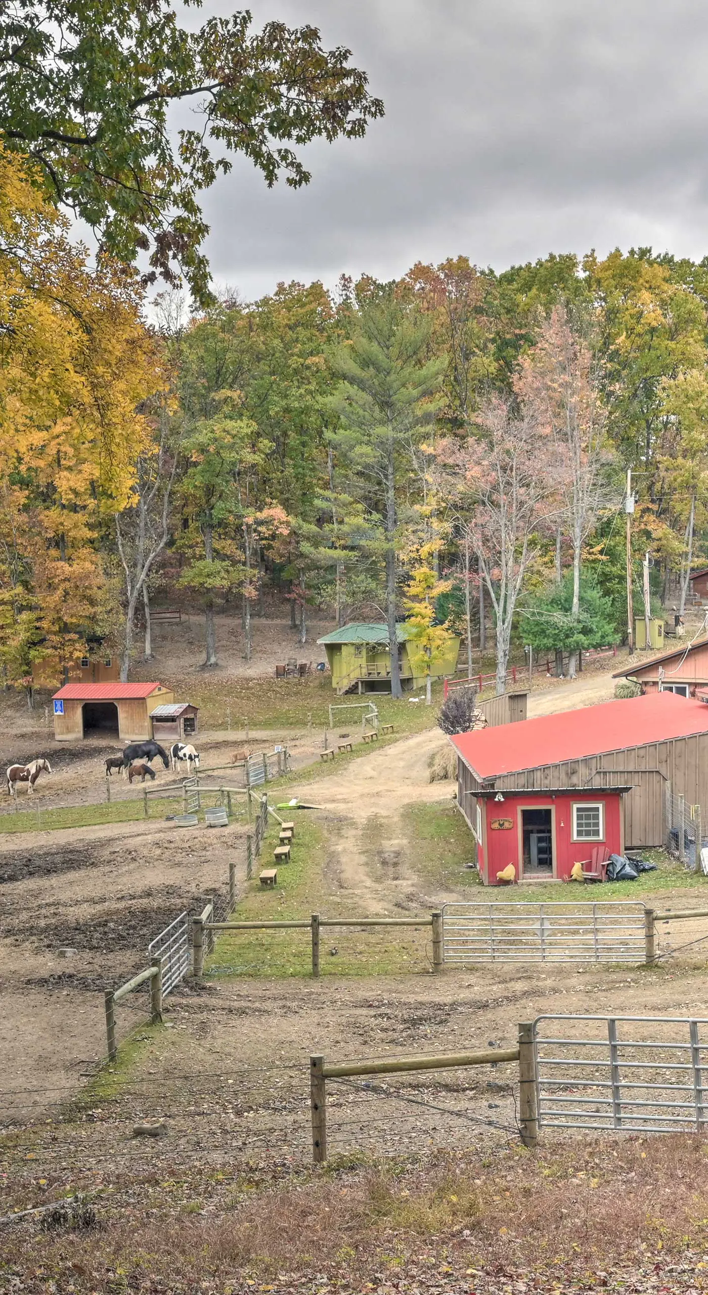 1 Mi to Raystown Lake: 'Wyatt Earp Cabin' w/ Deck!