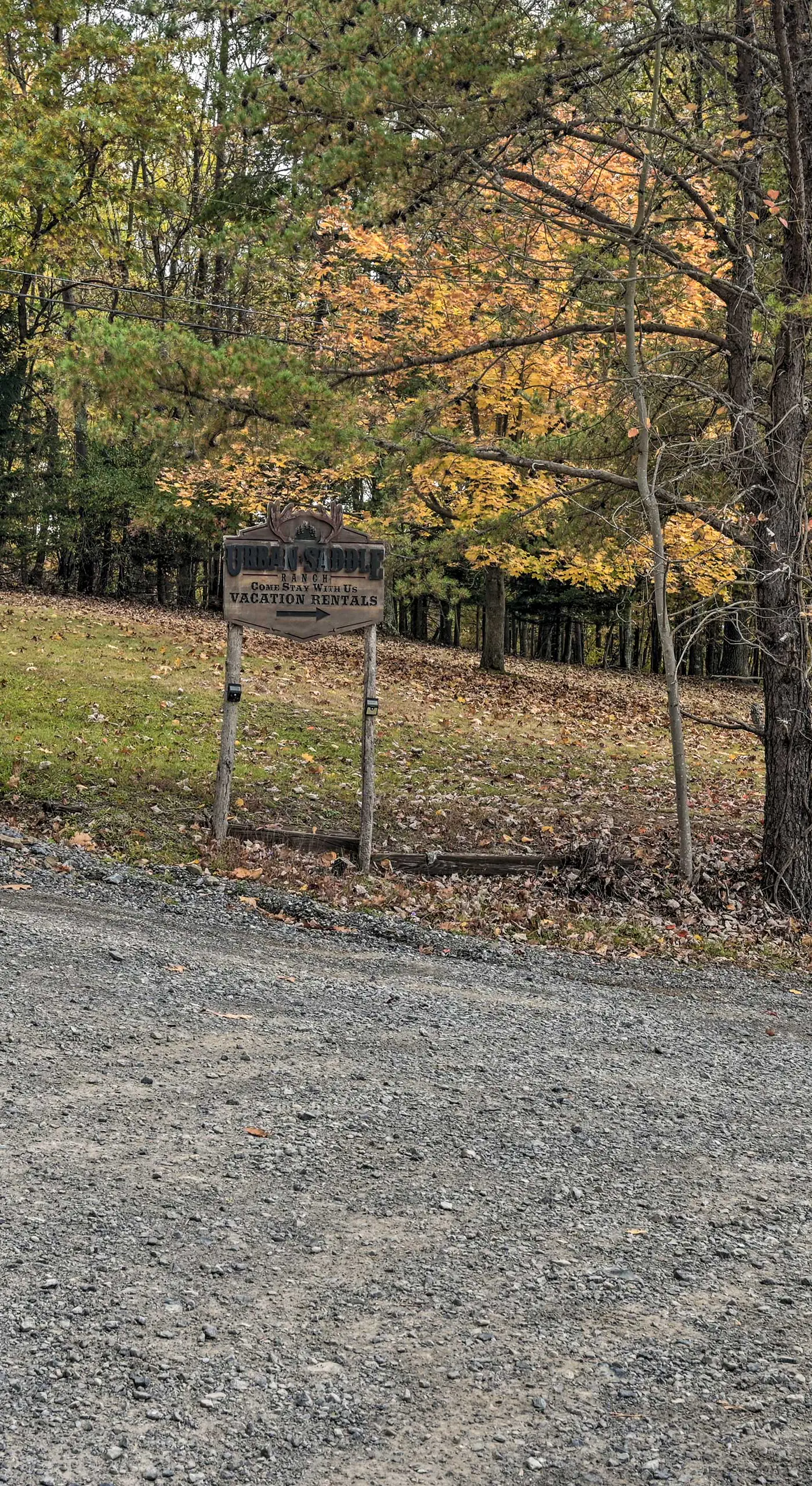 1 Mi to Raystown Lake: 'Wyatt Earp Cabin' w/ Deck!