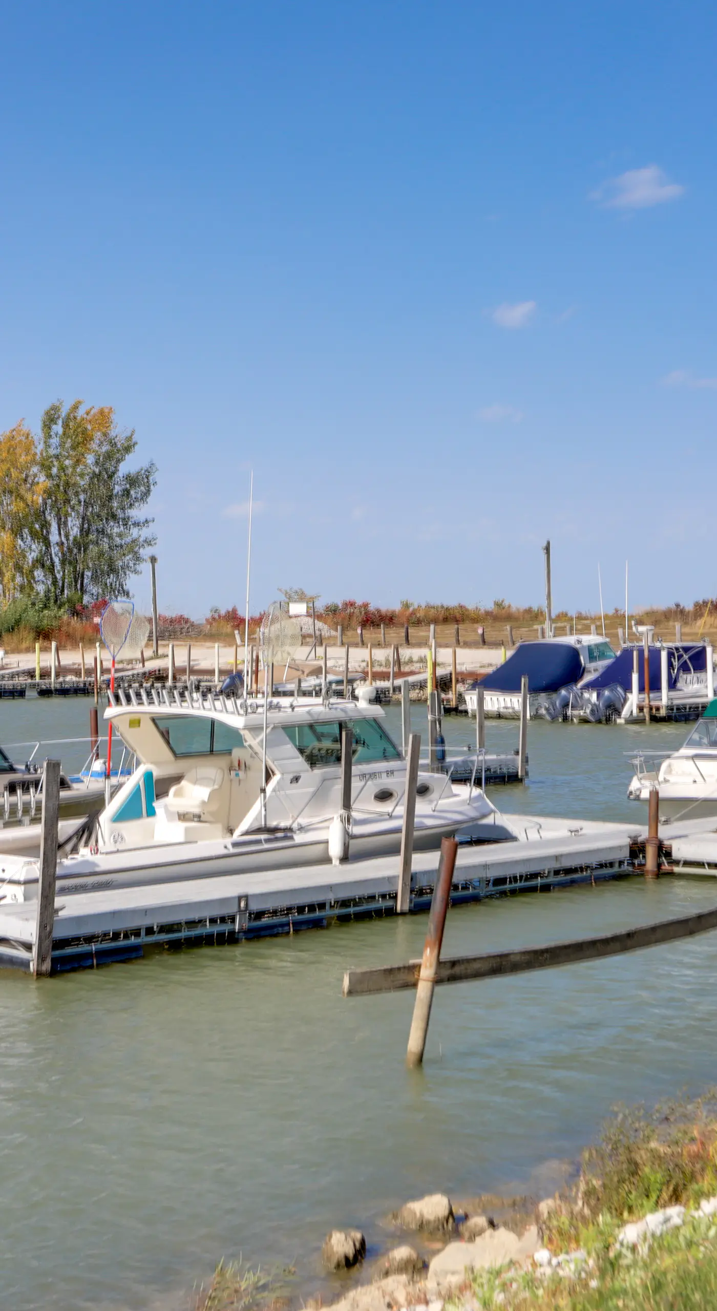 Pet-Friendly Oak Harbor Condo: Walk to Lake!