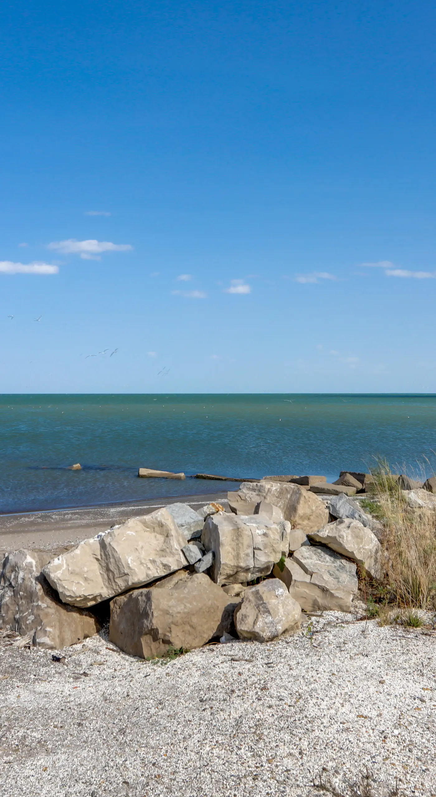 Pet-Friendly Oak Harbor Condo: Walk to Lake!