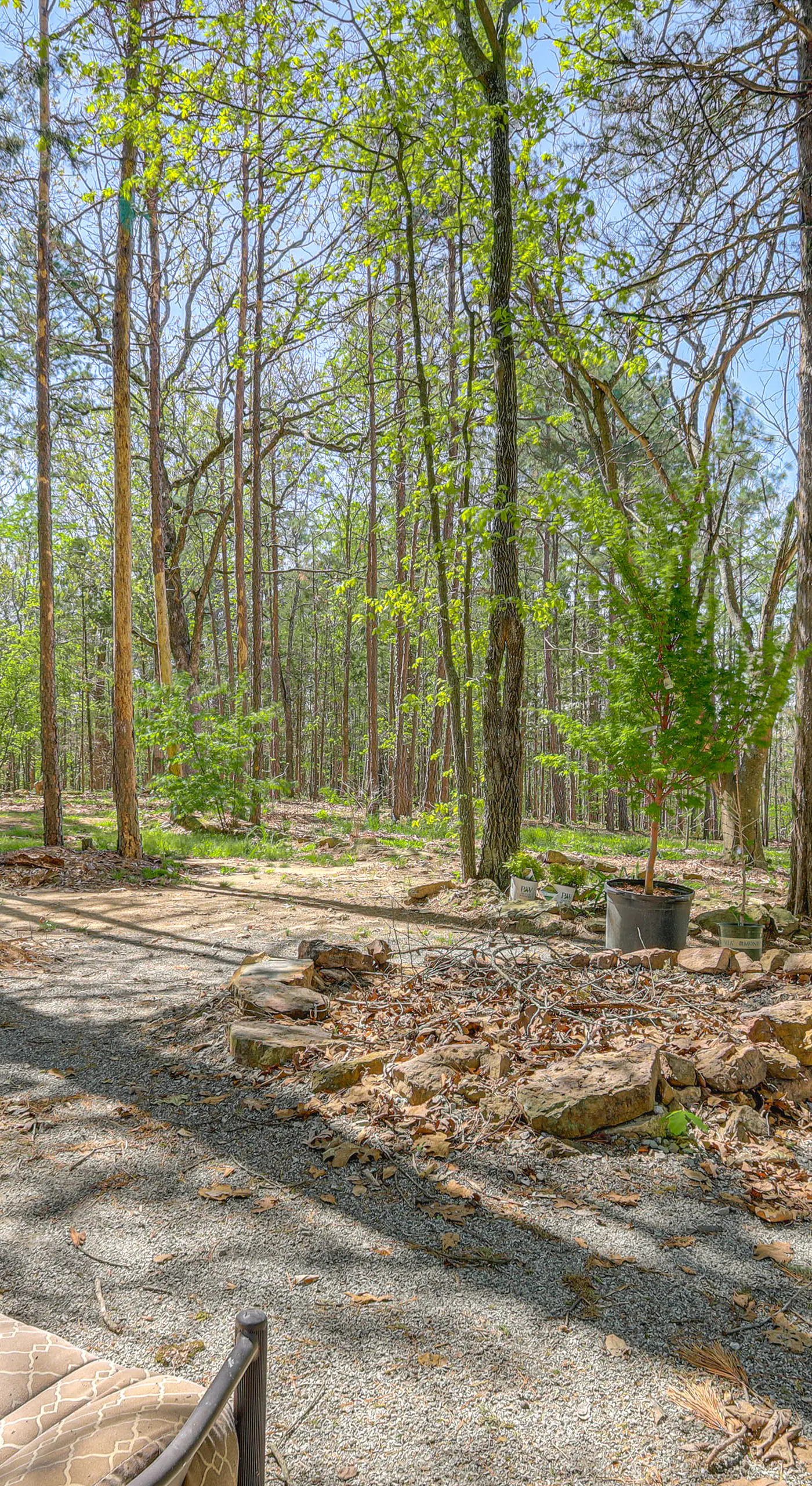 2 Mi to Cherokee Landing! Secluded Forest Escape