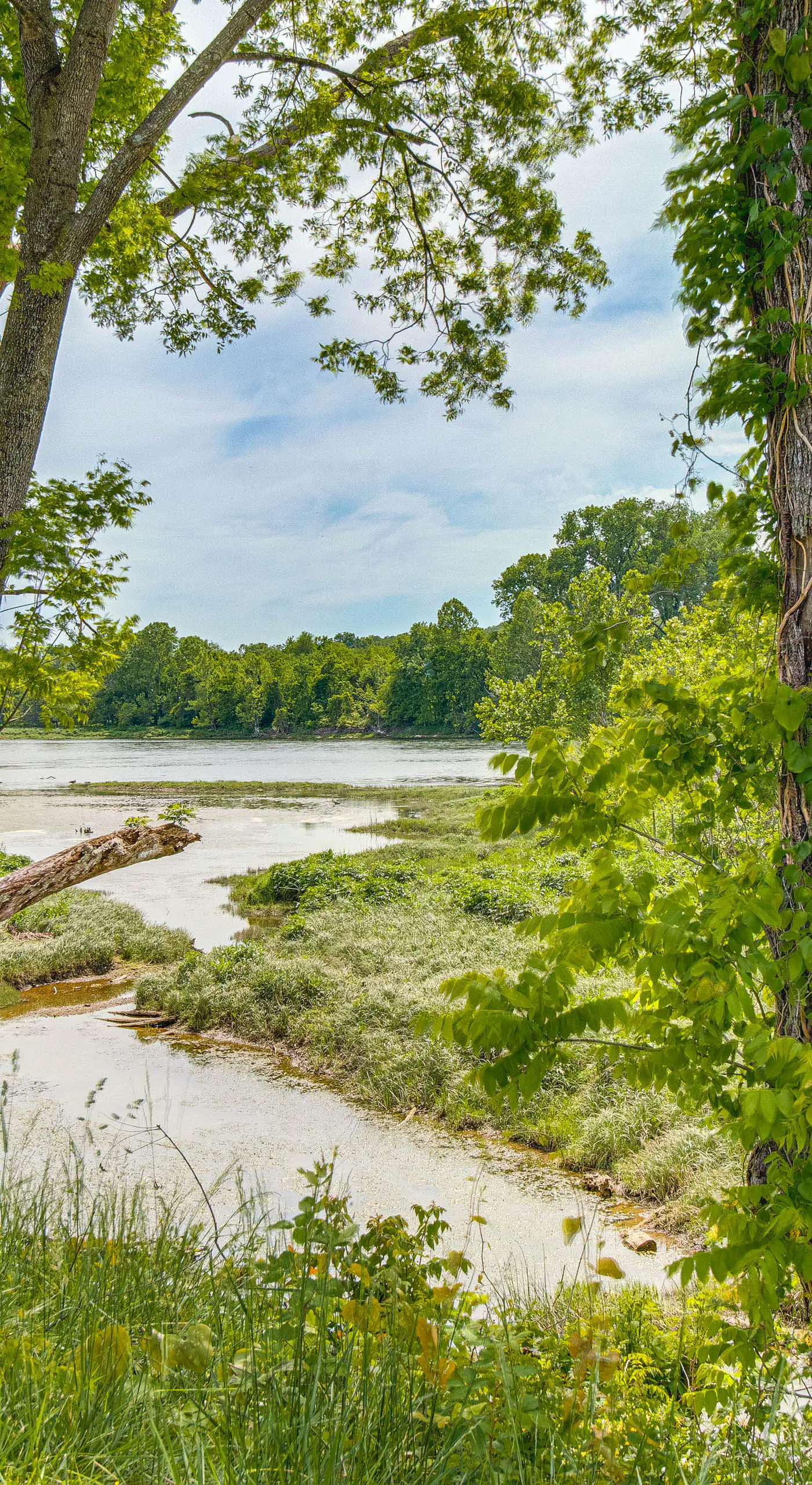 Angler's Retreat on the White River: Pets Welcome!
