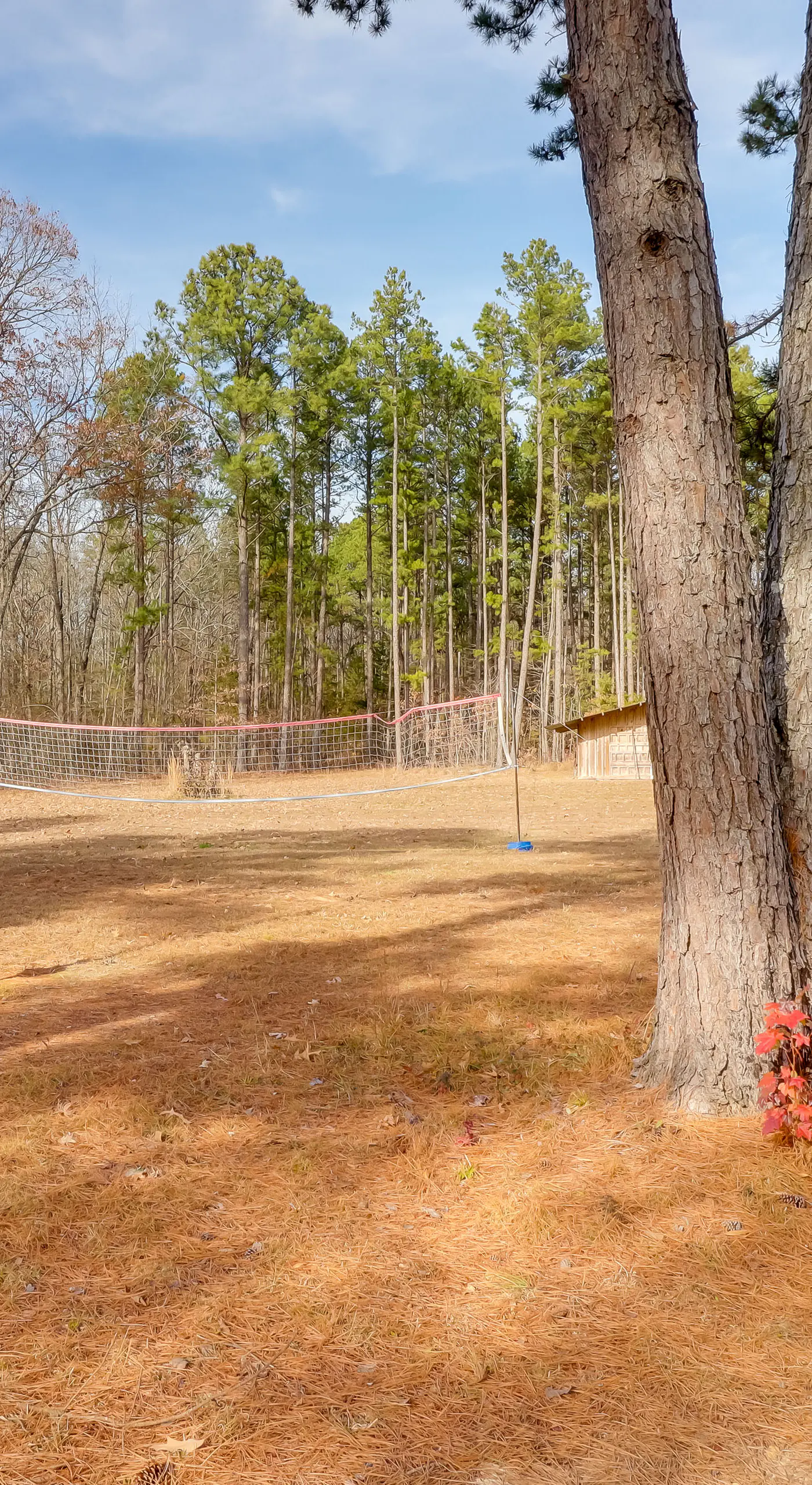 Higden Studio Cottage < 1 Mi to Greers Ferry Lake