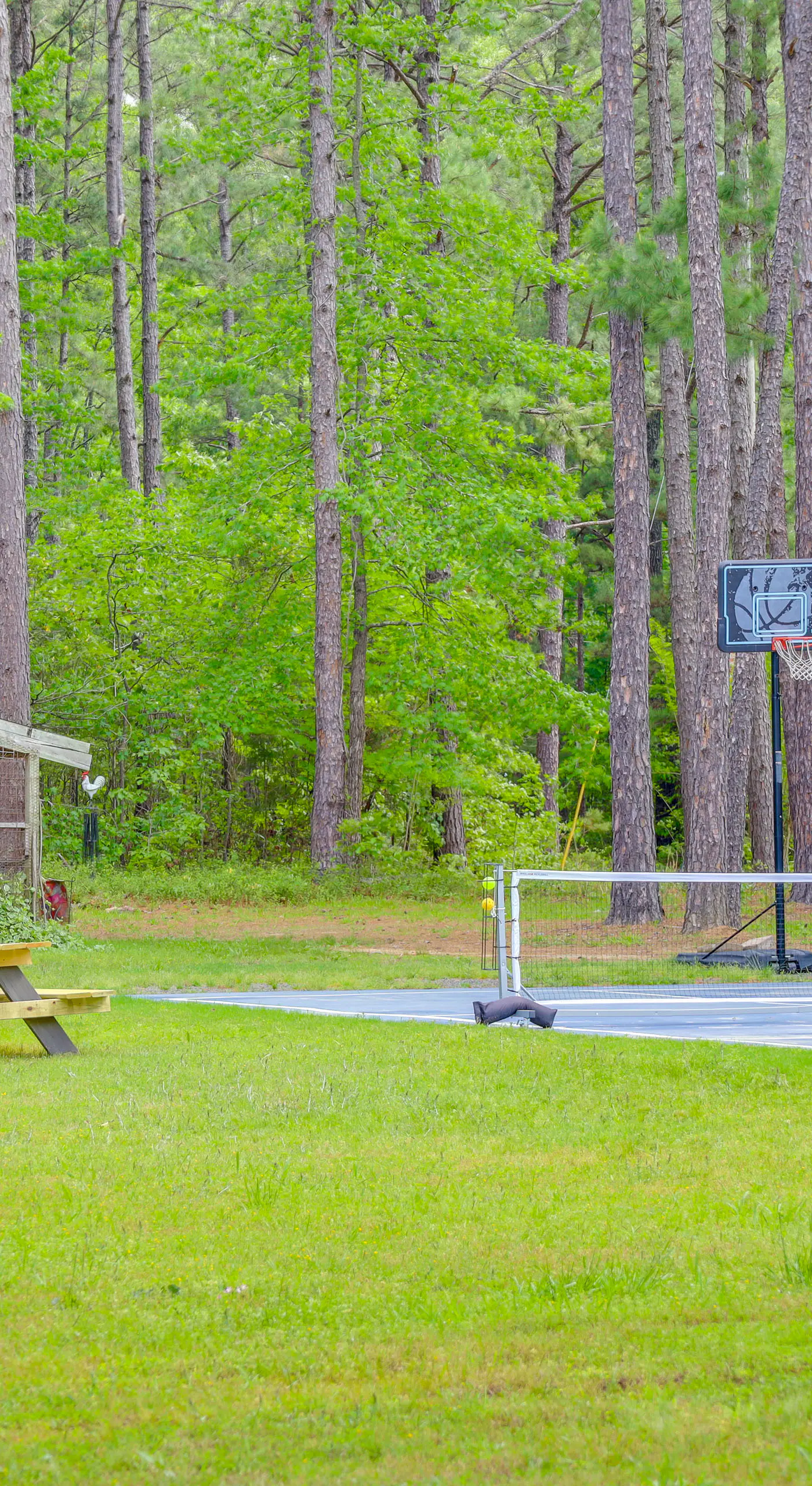 2 Mi to Greers Ferry Lake Boat Ramp! Cozy Studio