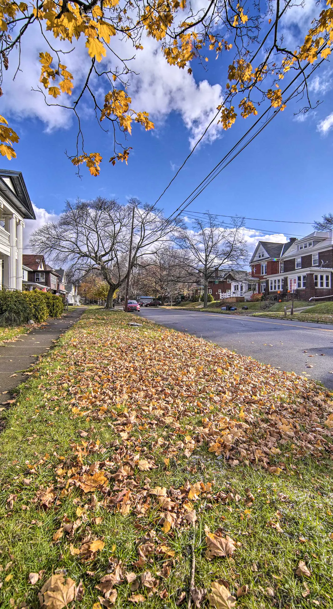 Historic Family Home 2 Mi to Lake Erie & Zoo!