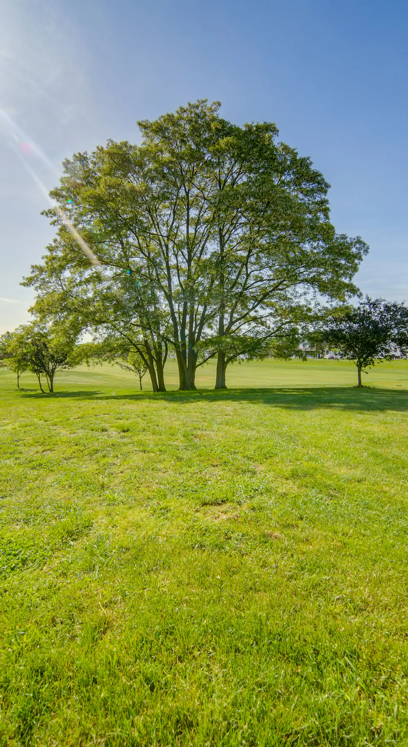 4 Mi to Lake: Golf-View Erie Condo w/ Porch