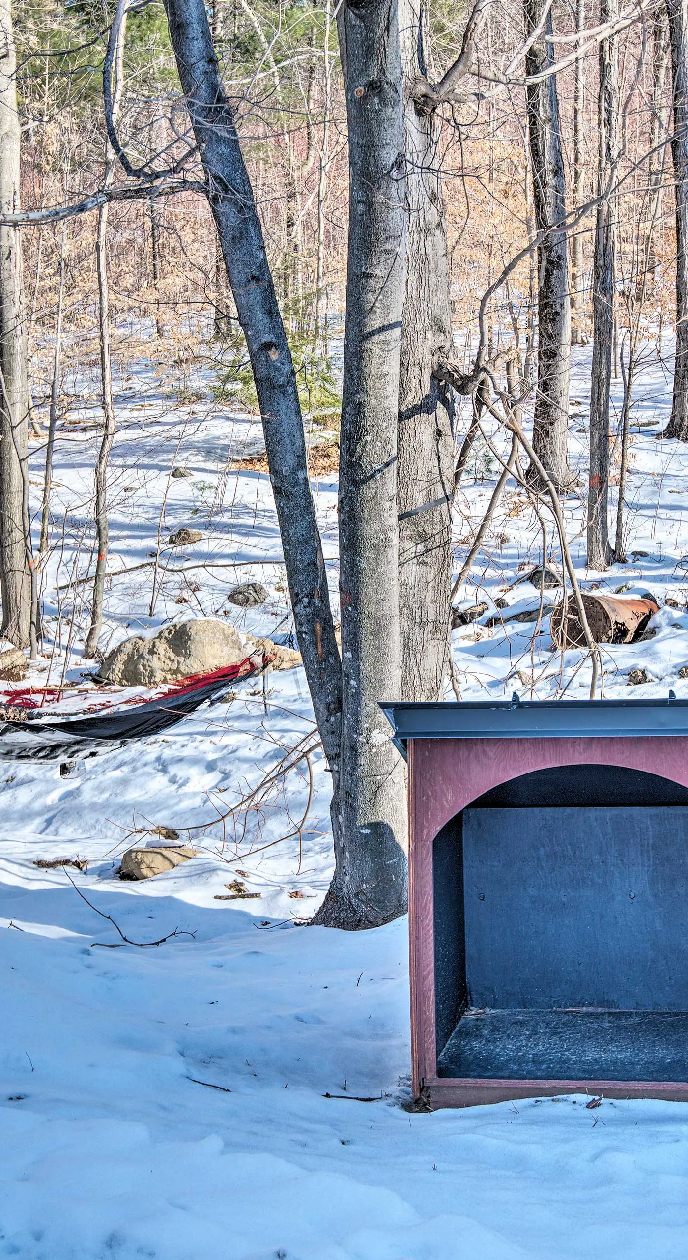 Pet-Friendly Gilford Home by Gunstock Ski Mountain