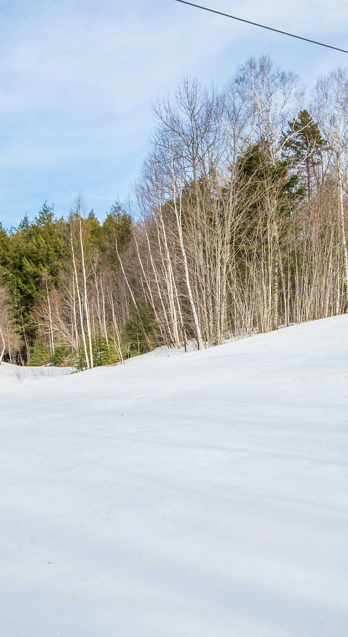 Updated Condo Next to Burke Mountain Bike Trails!