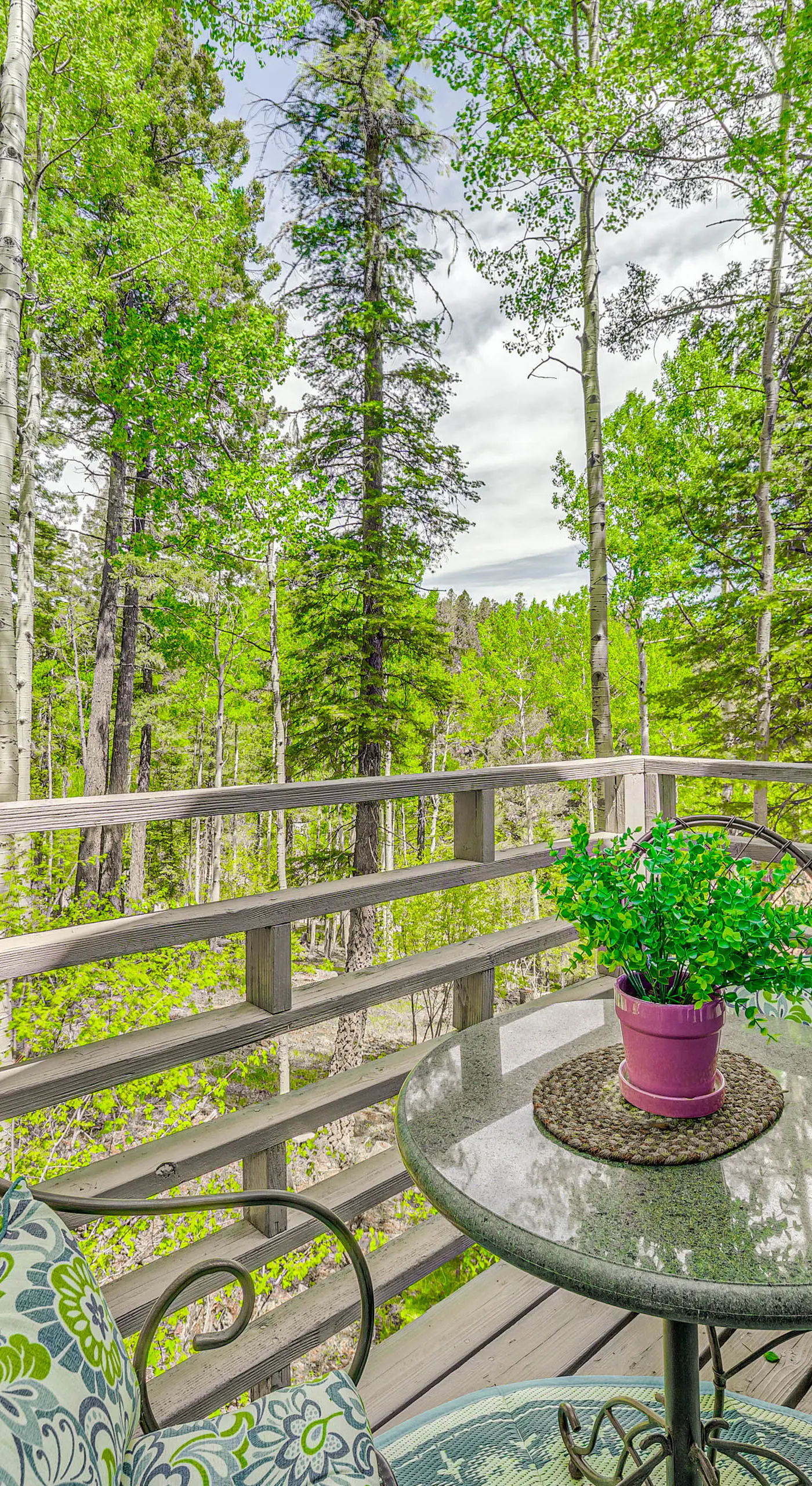 Quaint Cloudcroft Cabin w/ Stunning Forest Views!