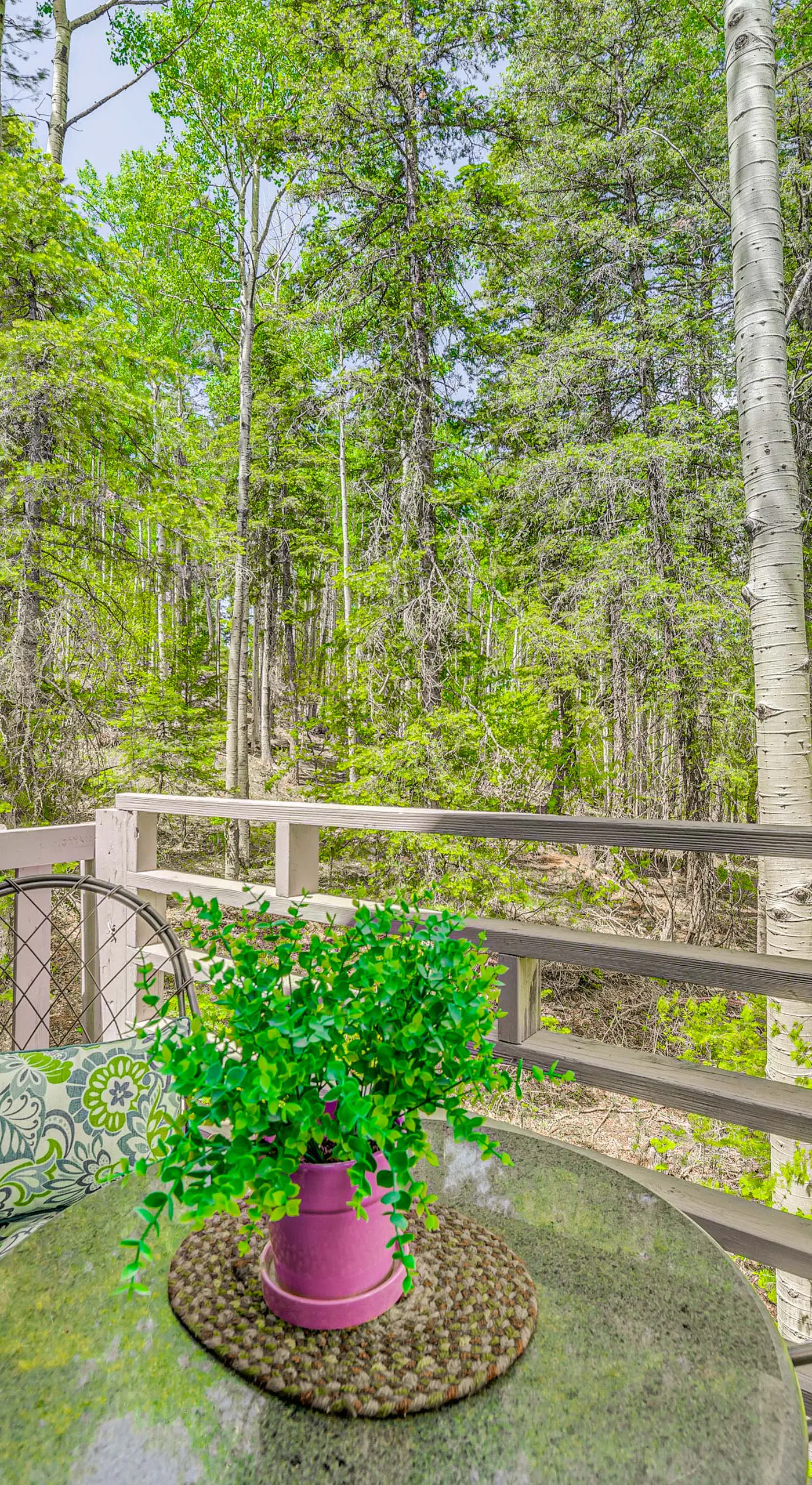 Quaint Cloudcroft Cabin w/ Stunning Forest Views!