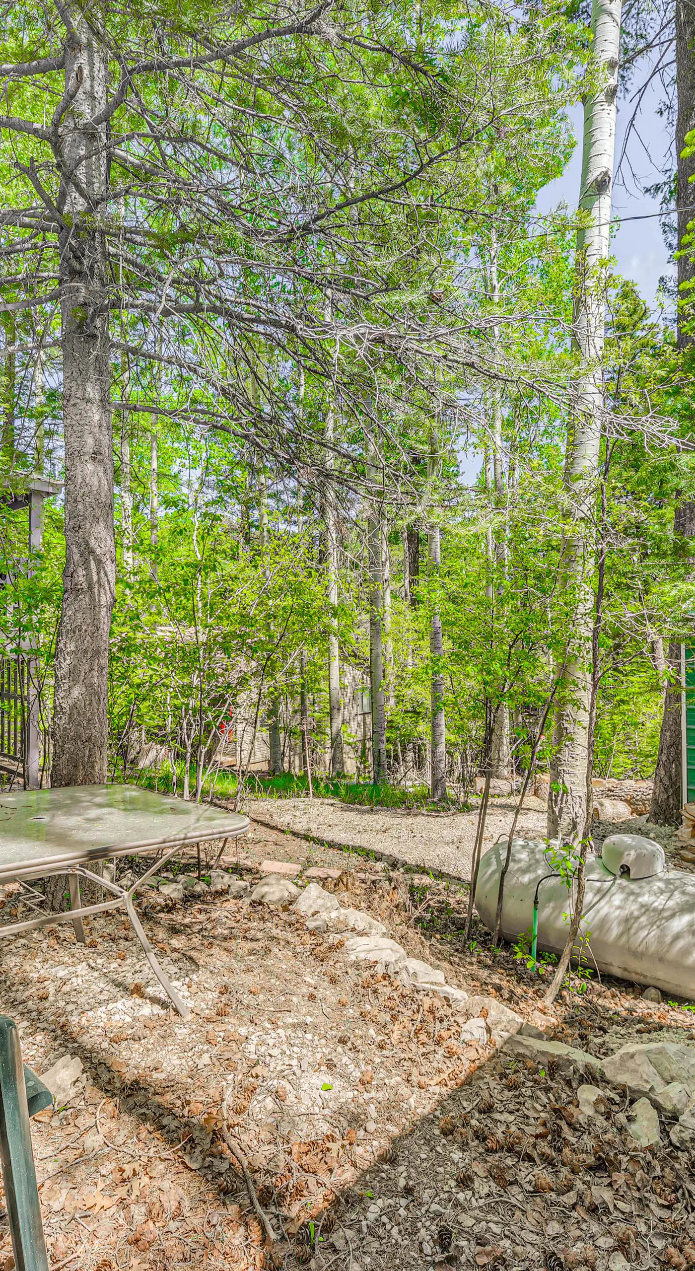 Quaint Cloudcroft Cabin w/ Stunning Forest Views!