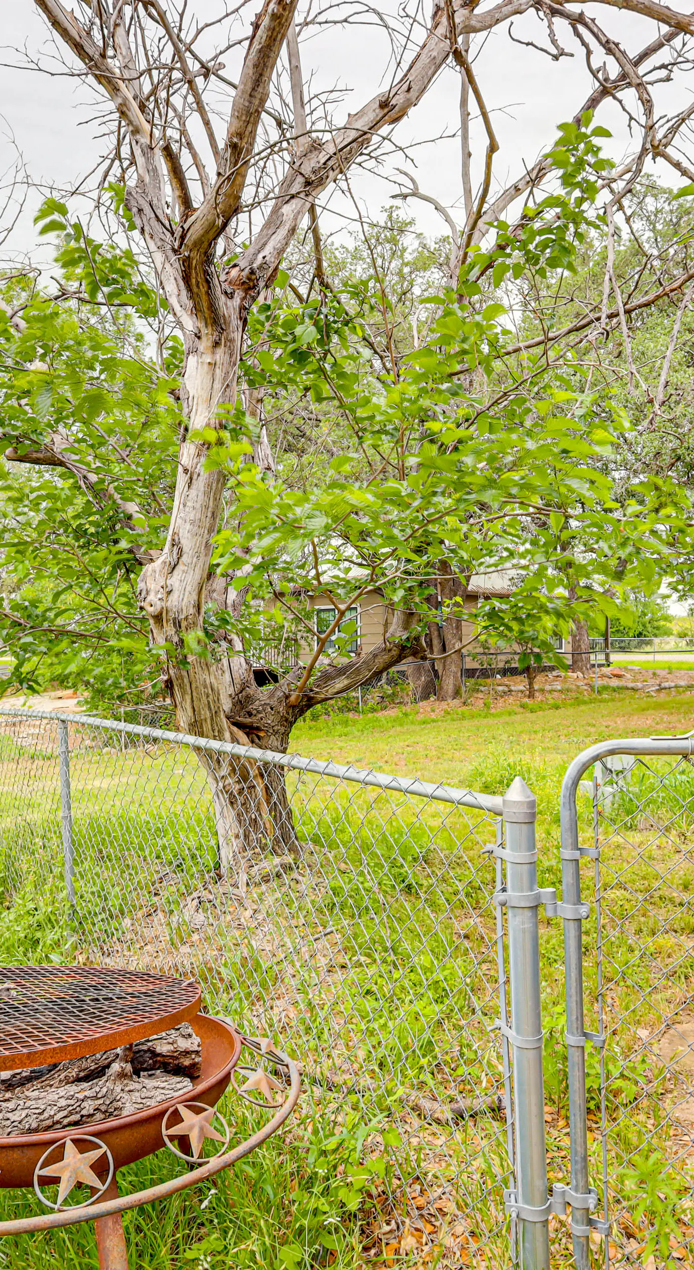 Deck, Hot Tub & Lake View: Brownwood Home!