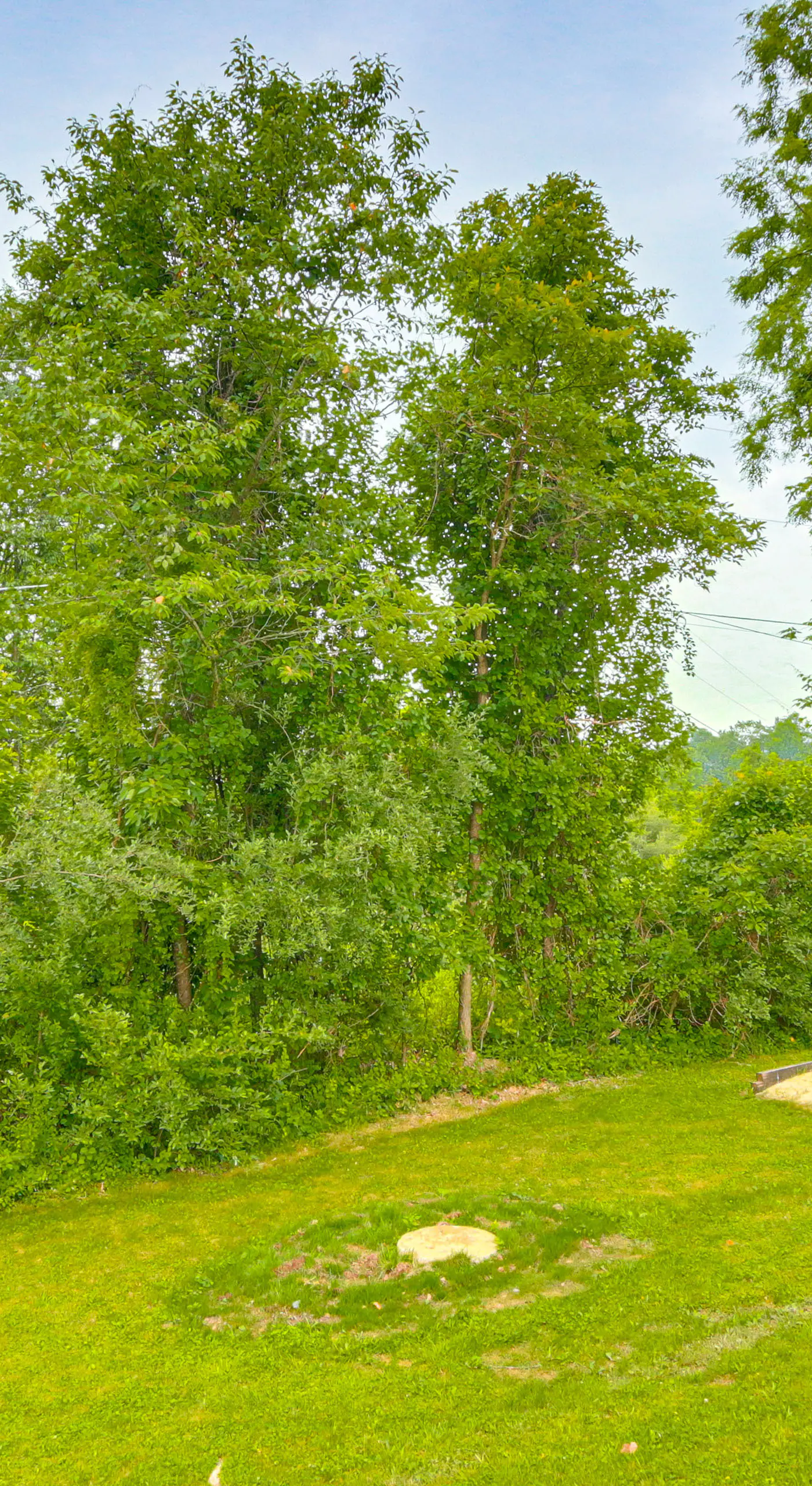 < 1 Mi to Raystown Lake: Family-Friendly Cottage!