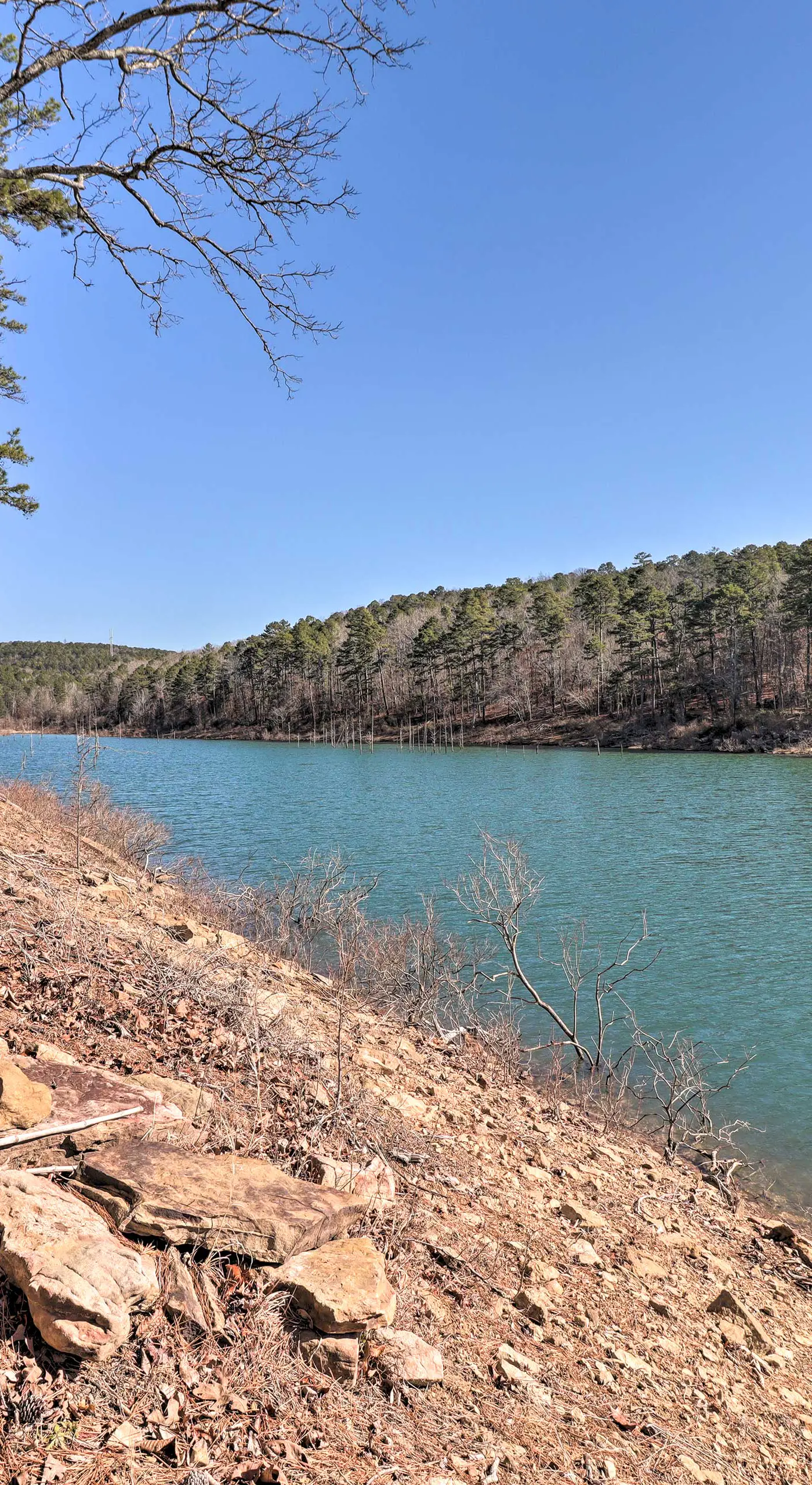Scenic Greers Ferry Cabin w/ Deck + Fire Pit!