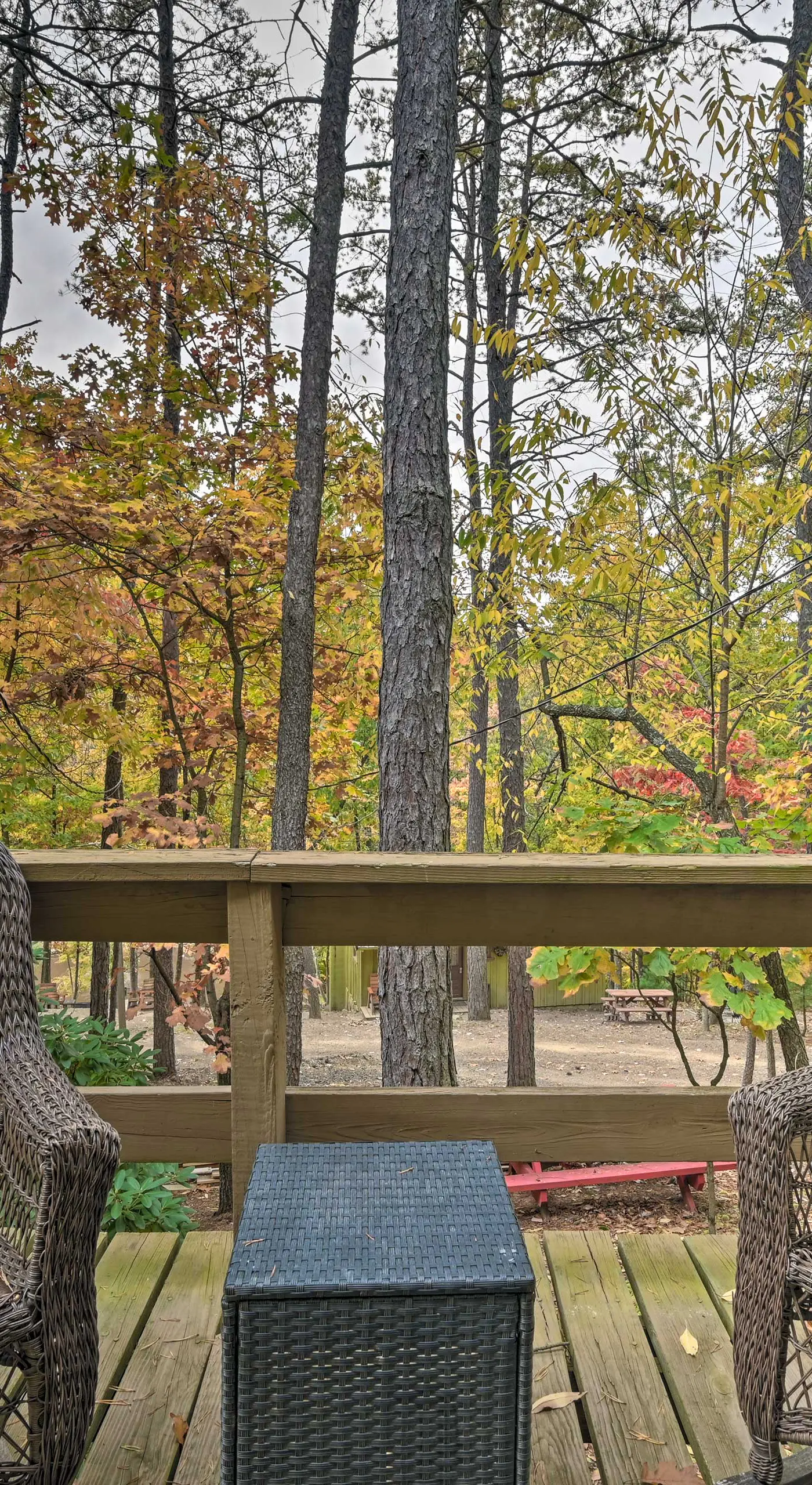 'James West' Apt w/ 50 Acres Near Raystown Lake