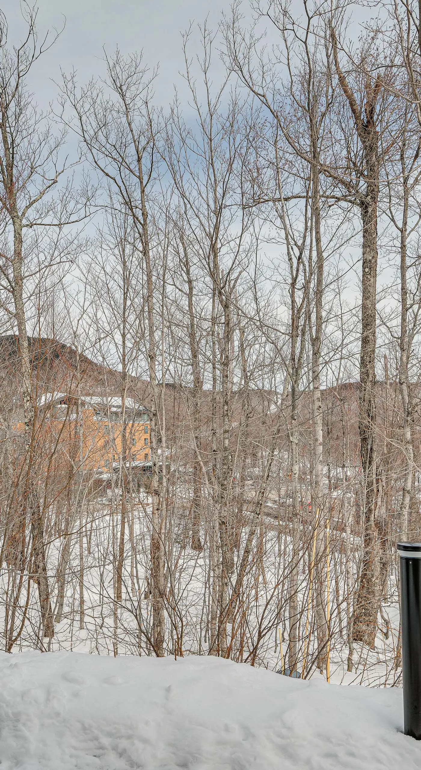 Ski-In Resort Family Condo w/ Deck at Jay Peak!