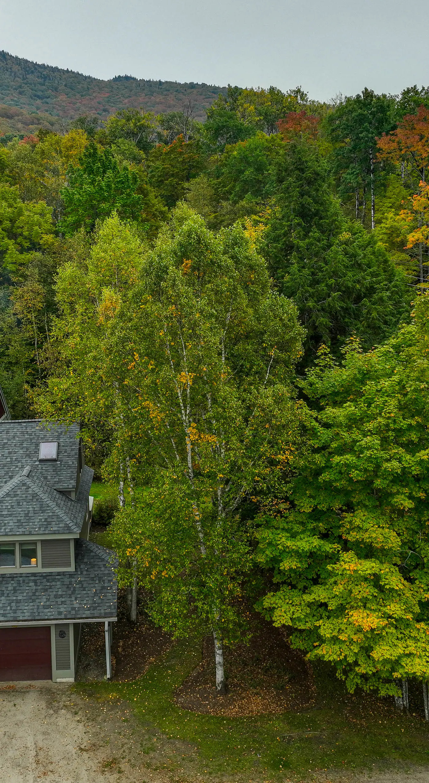 Ski-in Condo w/ Hot Tub on Burke Mtn Slopes!