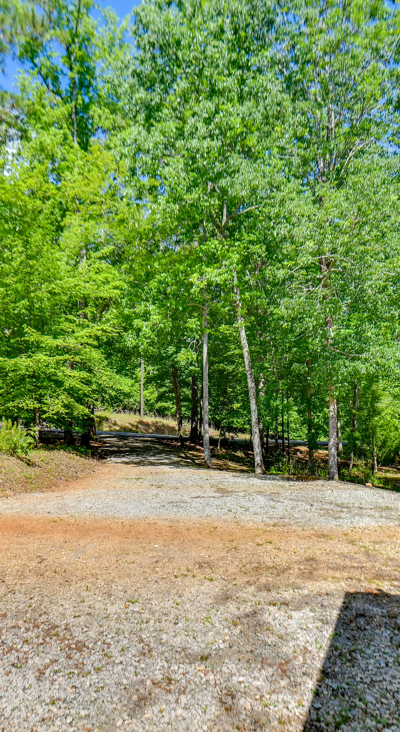Private Dock: Pet-Friendly Home on Lake Sinclair