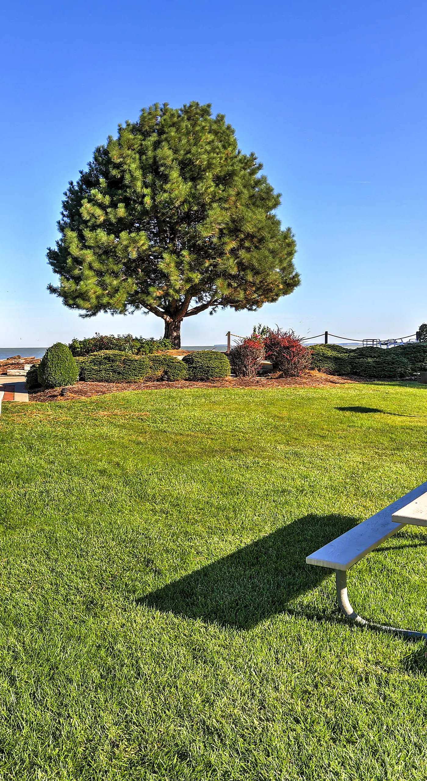 The Shores Condo w/ Beach Access < 2 Mi to Dtwn!