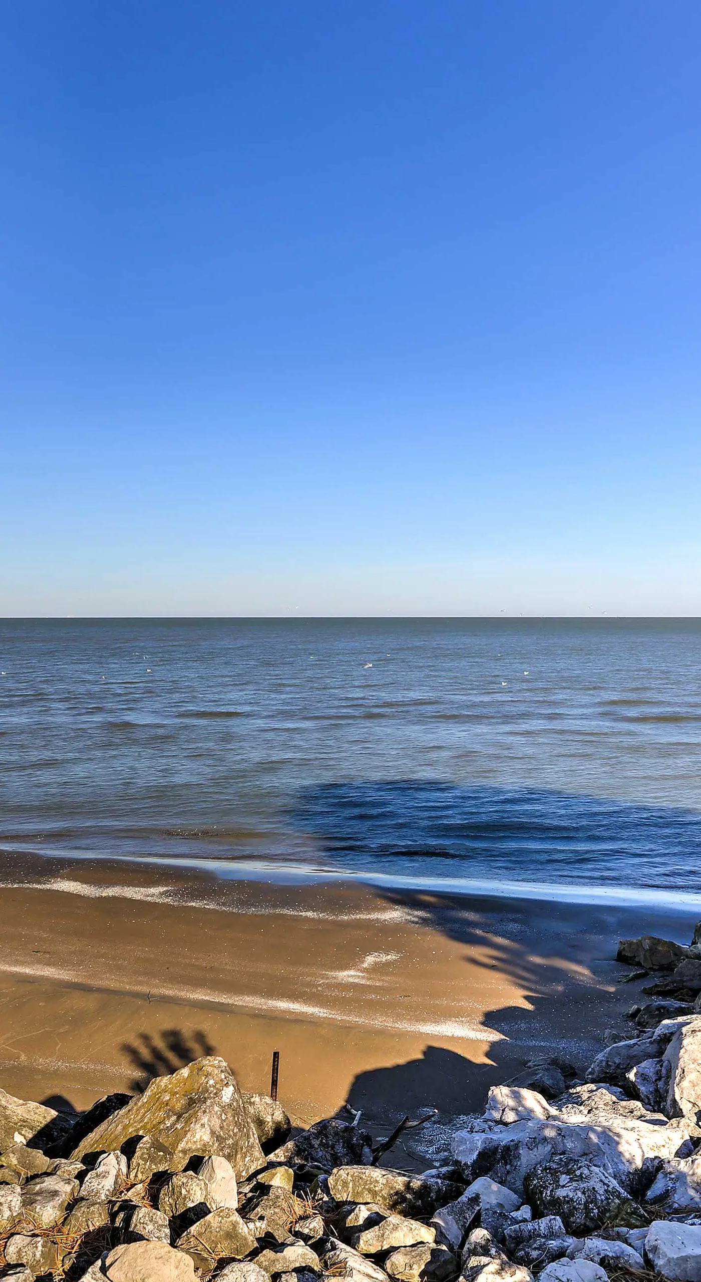 The Shores Condo w/ Beach Access < 2 Mi to Dtwn!