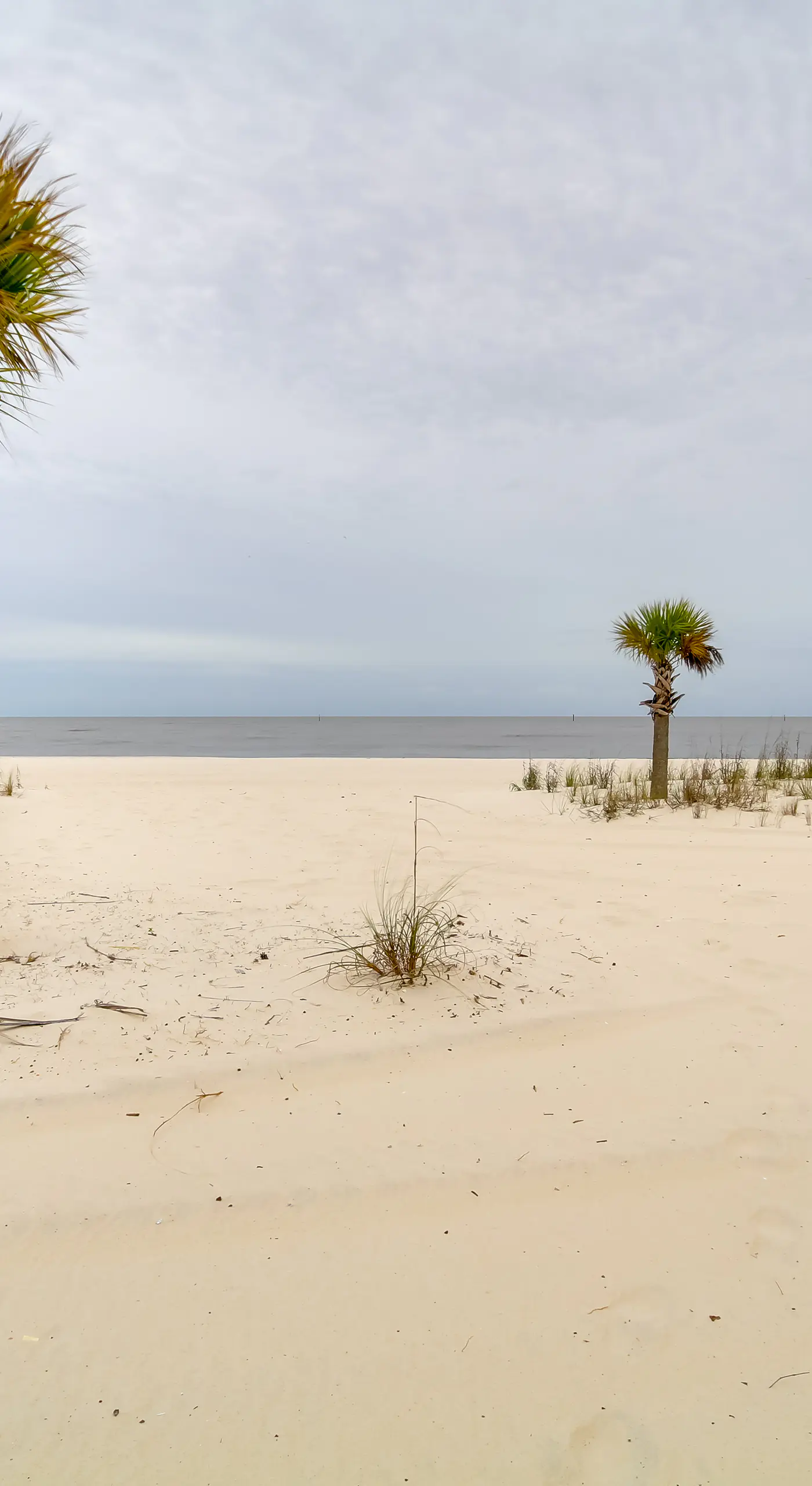 Walk to Beach: Gulfport Retreat w/ Patio