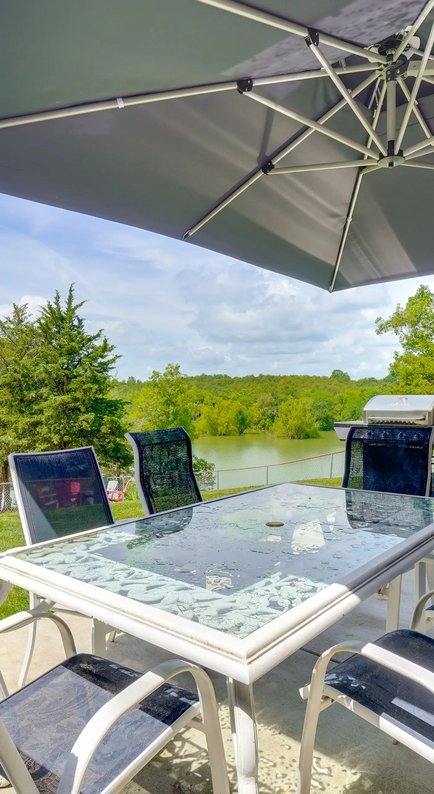 Boat Dock: Pet-Friendly Douglas Lake Getaway!