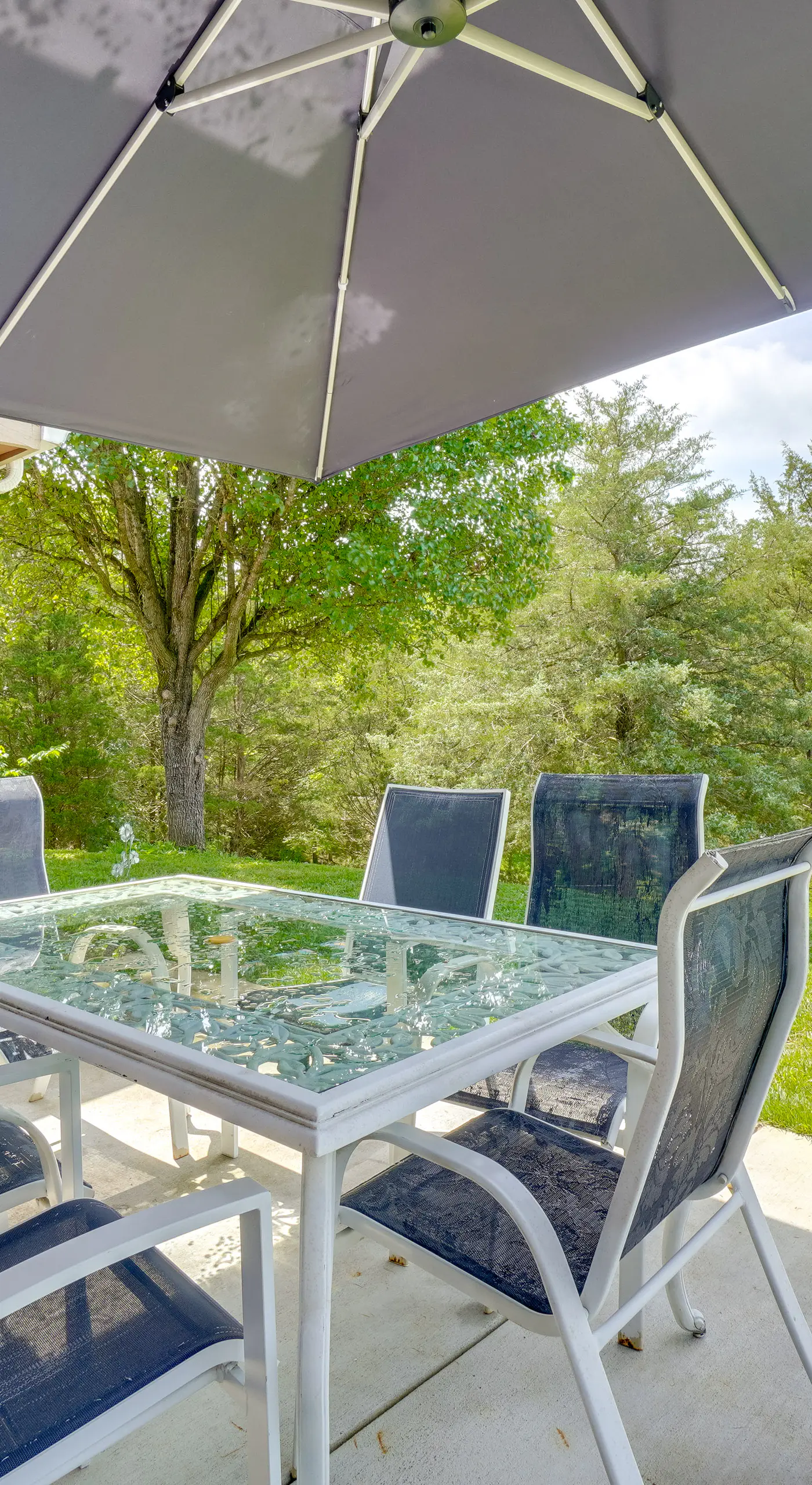 Boat Dock: Pet-Friendly Douglas Lake Getaway!