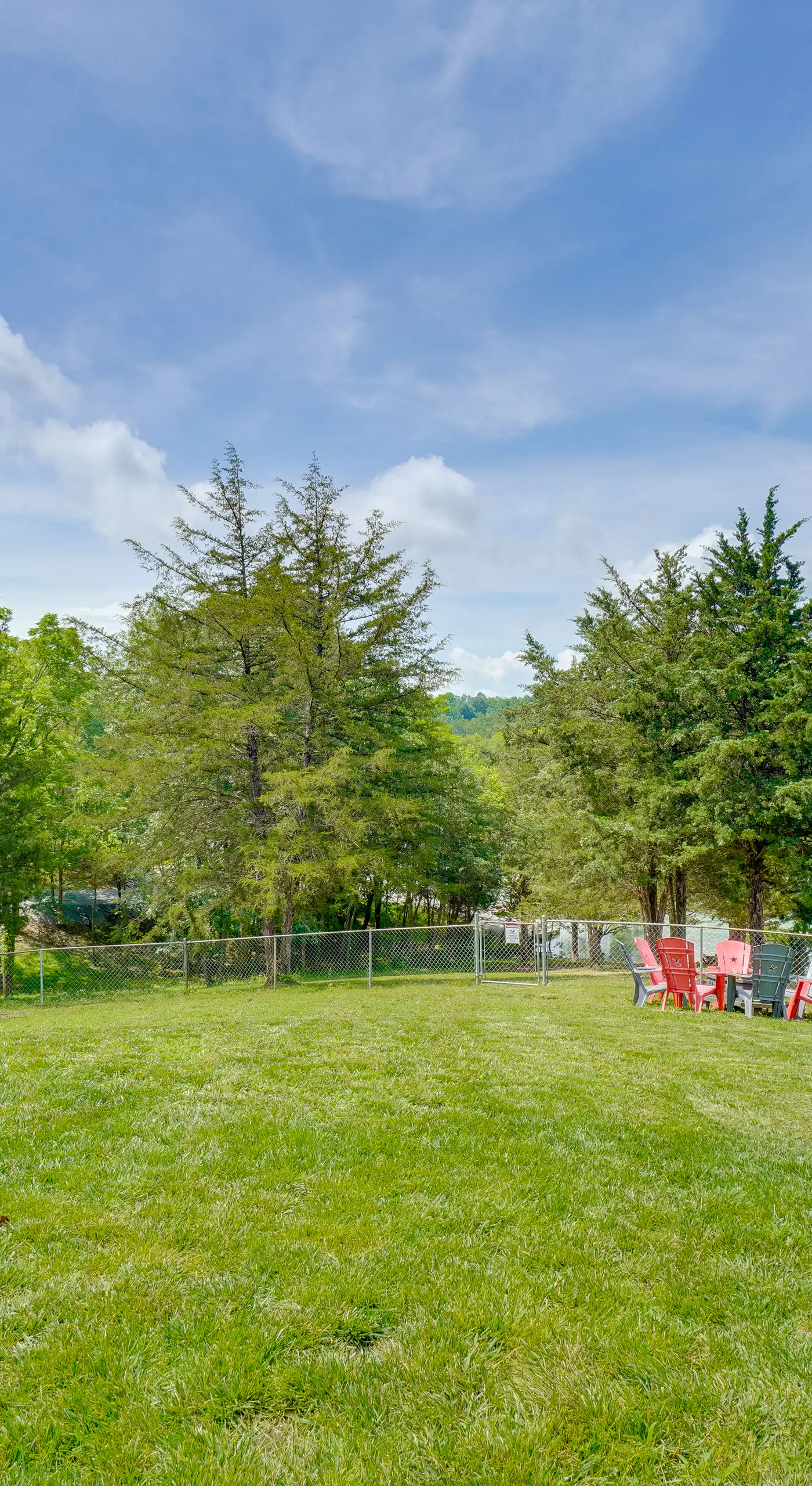 Boat Dock: Pet-Friendly Douglas Lake Getaway!
